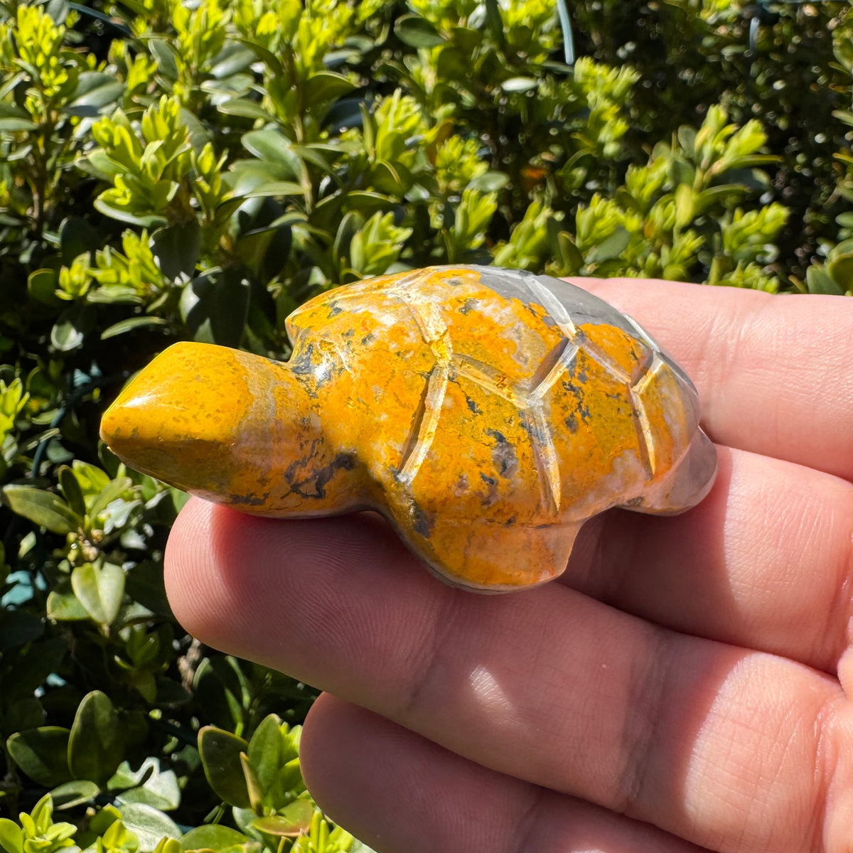 Bumblebee Jasper Polished Gemstone Figurine - Assorted Styles