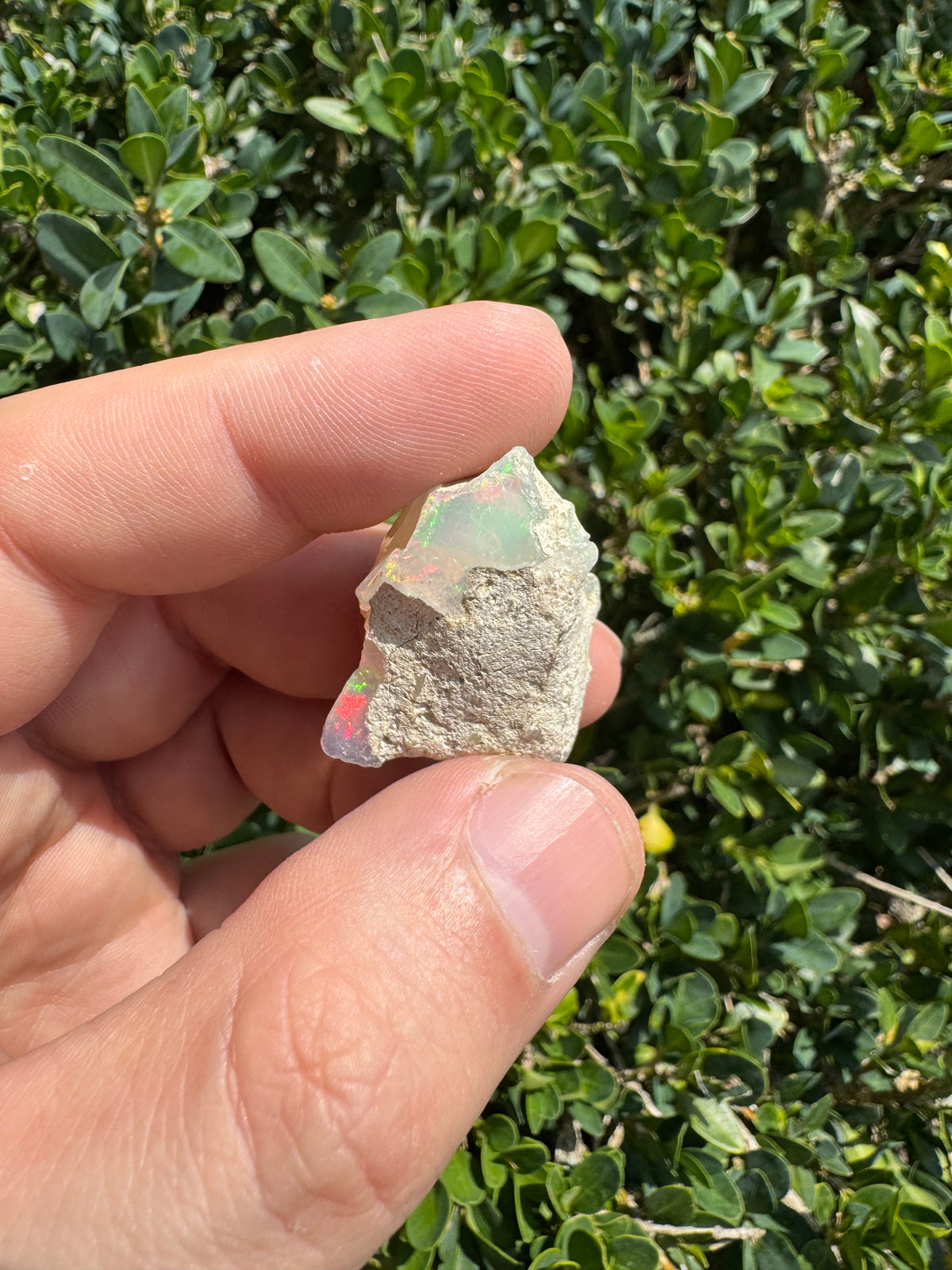 Ethiopian Welo Opal Specimen – Natural Rainbow Play-of-Color | 52.53 ct Genuine Welo Opal from Ethiopia