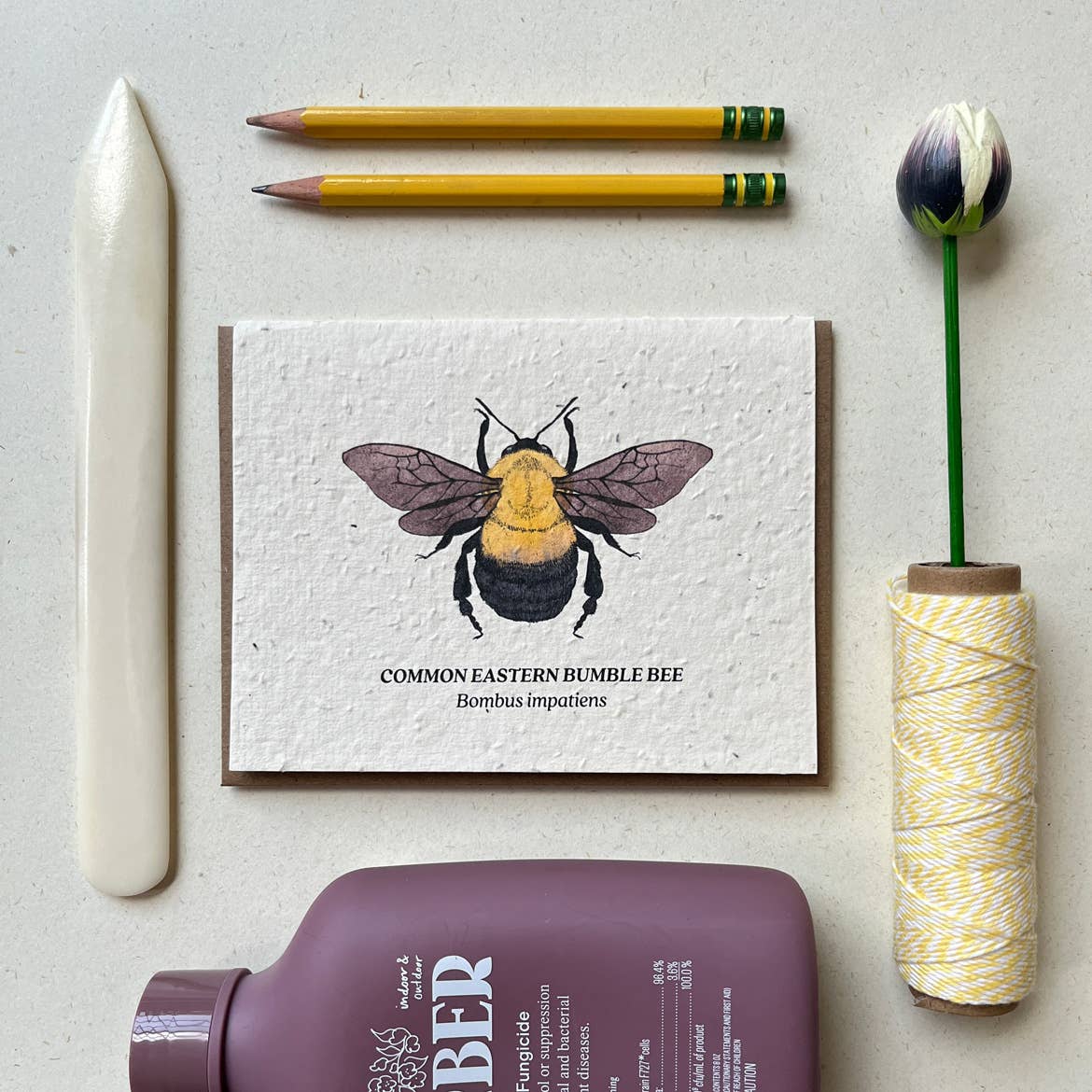 Bumble Bee Plantable Wildflower Seed Card