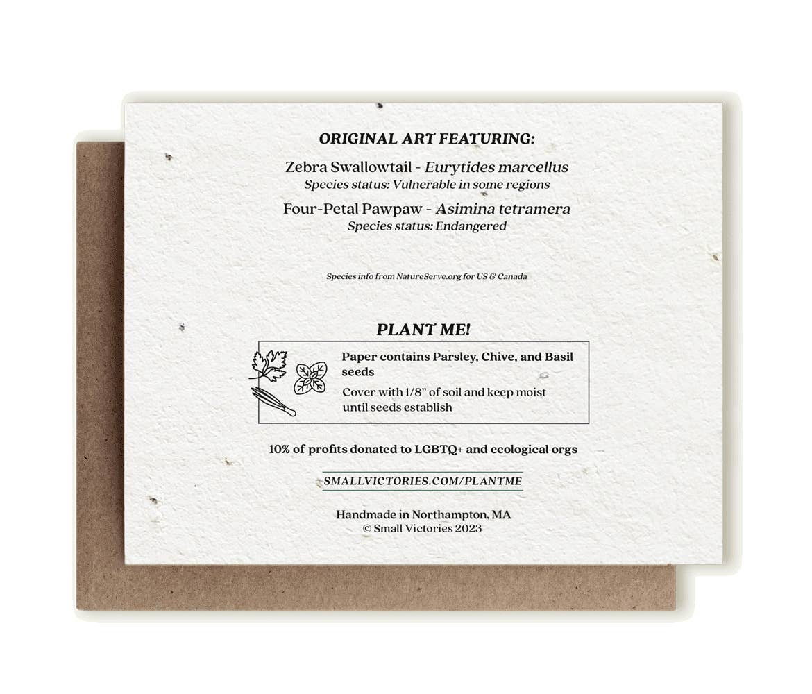 Zebra Swallowtail Butterfly & Pawpaw Plantable Herb Card