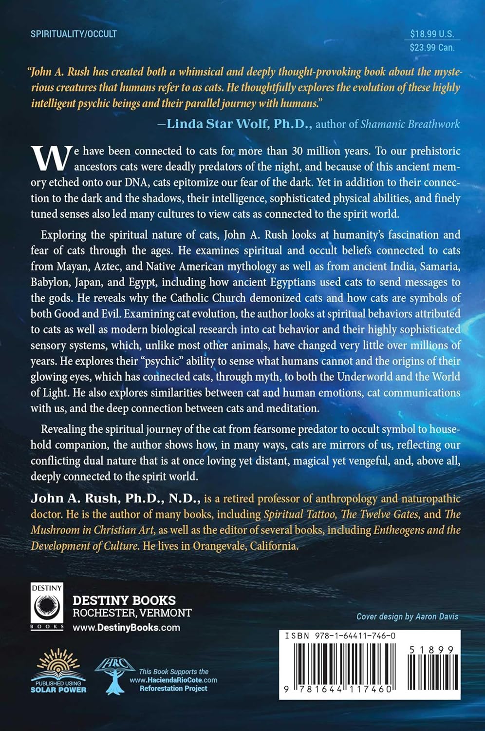 Cats: Keepers of the Spirit World