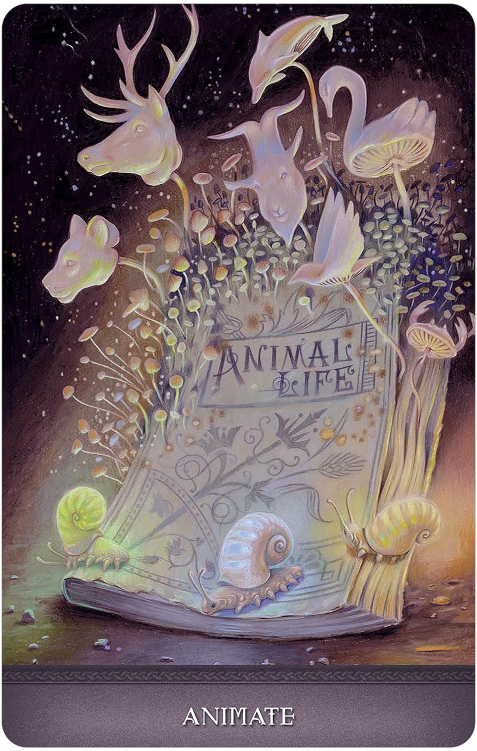 Land of Giants Oracle