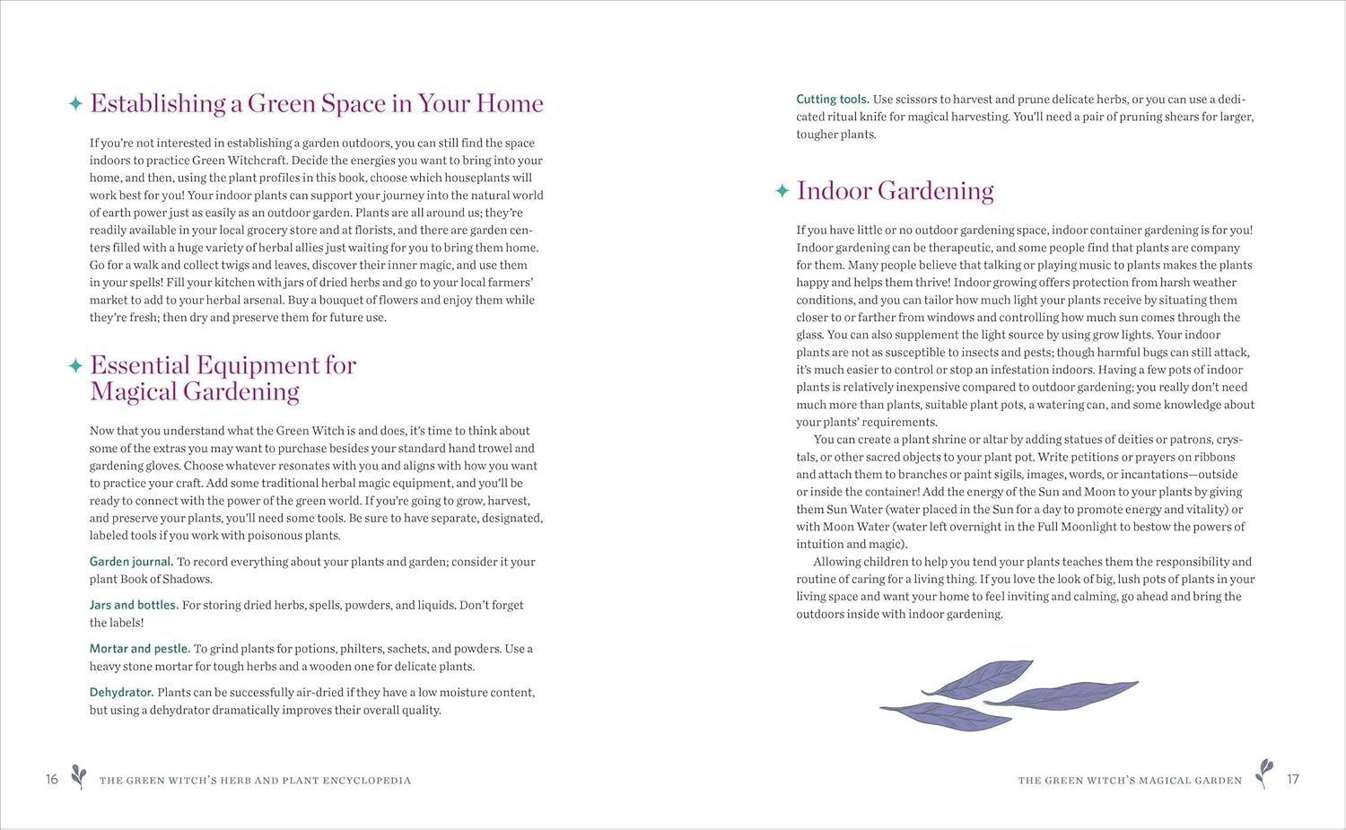 The Green Witch's Herb and Plant Encyclopedia: 150 Ingredients for Everyday Witchcraft