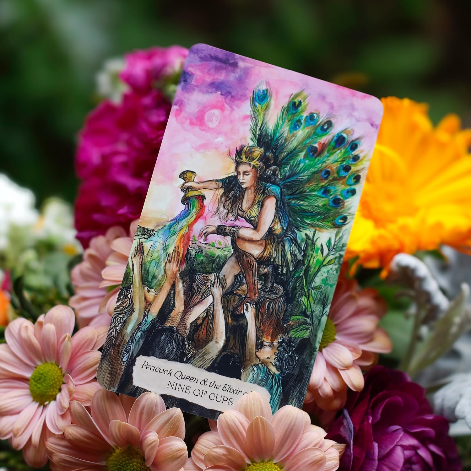 Nine of Cups card, Peacock Queen & the Elixir, from Bonestone & Earthflesh Tarot among pink flowers
