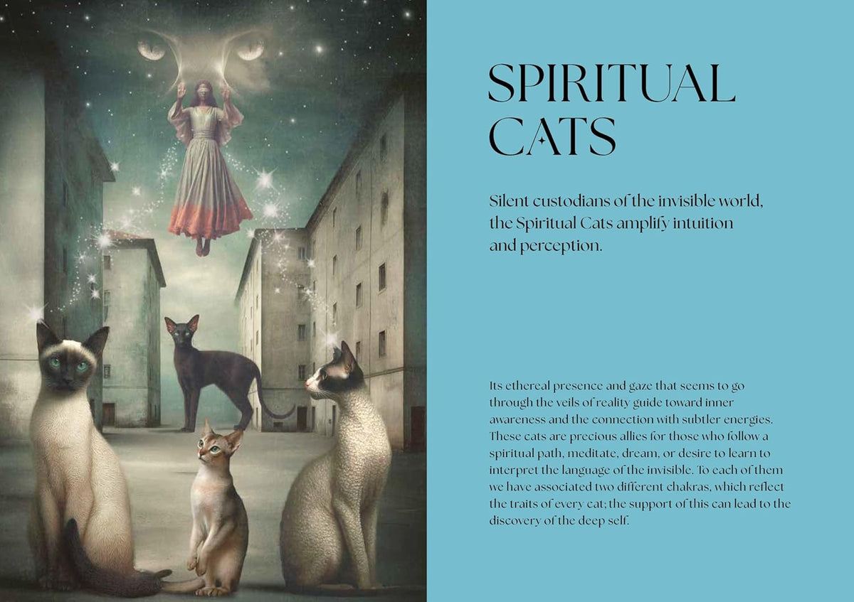 Cats, A Mystical Guide