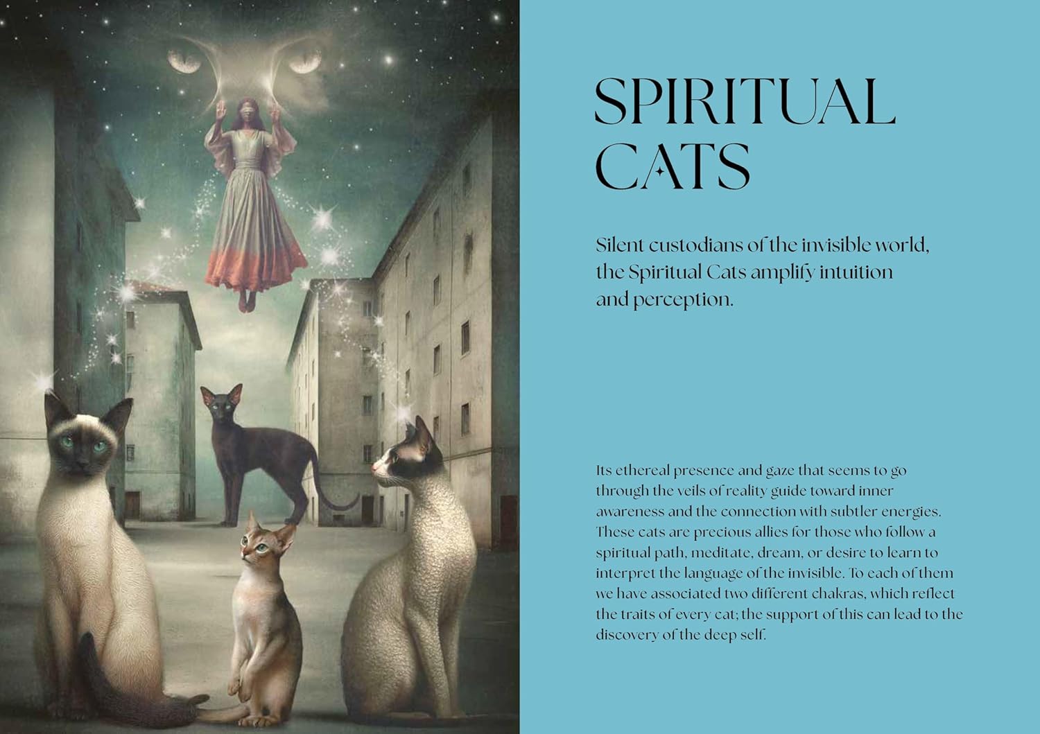 Cats, A Mystical Guide