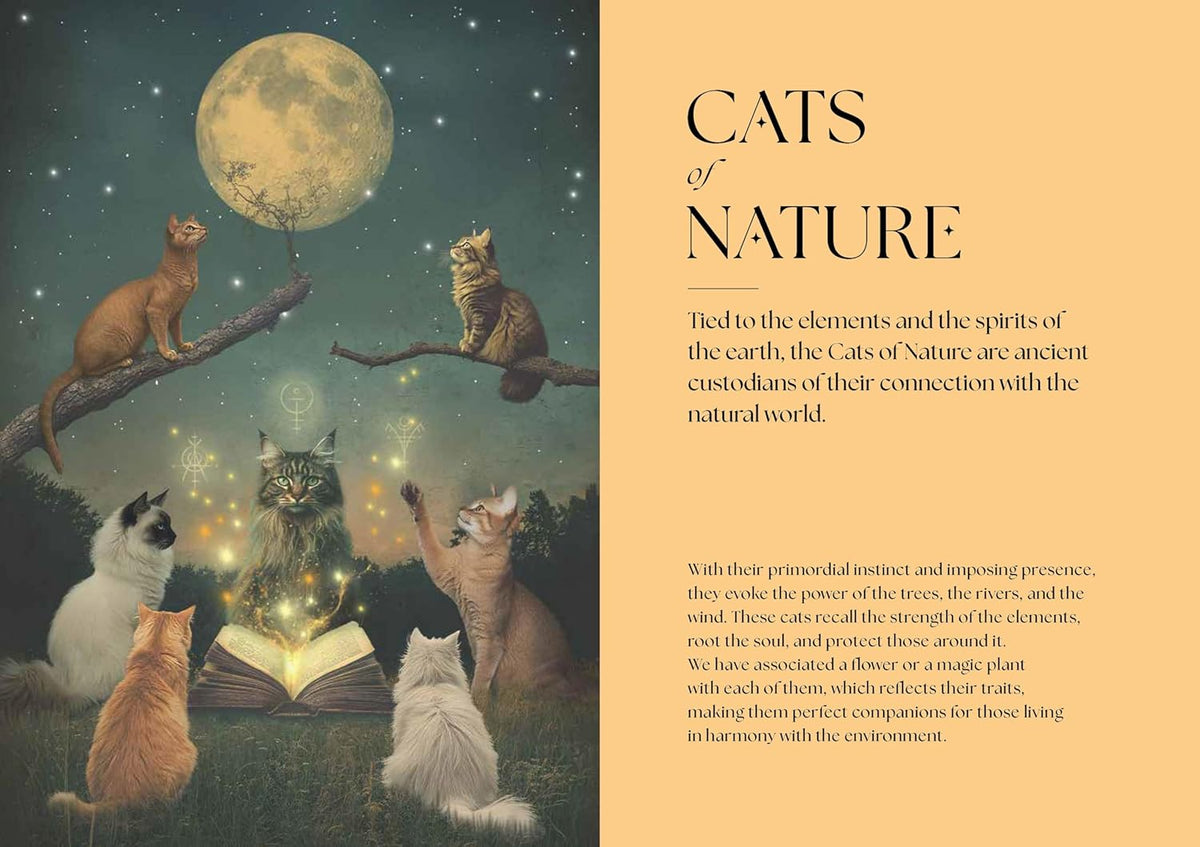 Cats, A Mystical Guide