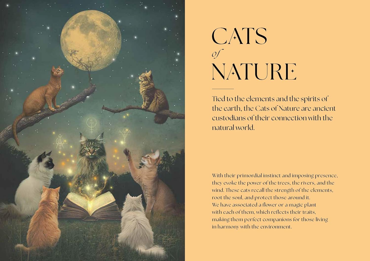 Cats, A Mystical Guide