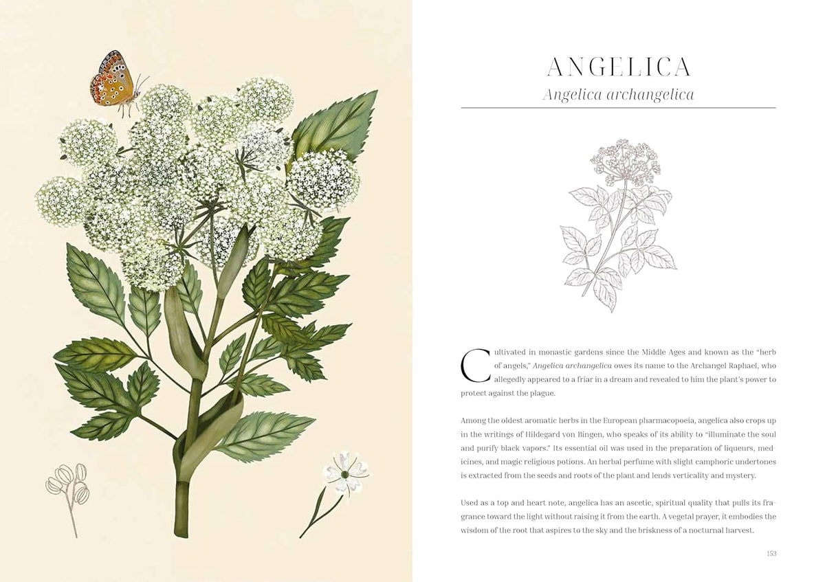 Olfactory Code: Unveiling the Alchemy of Botanical Perfumery