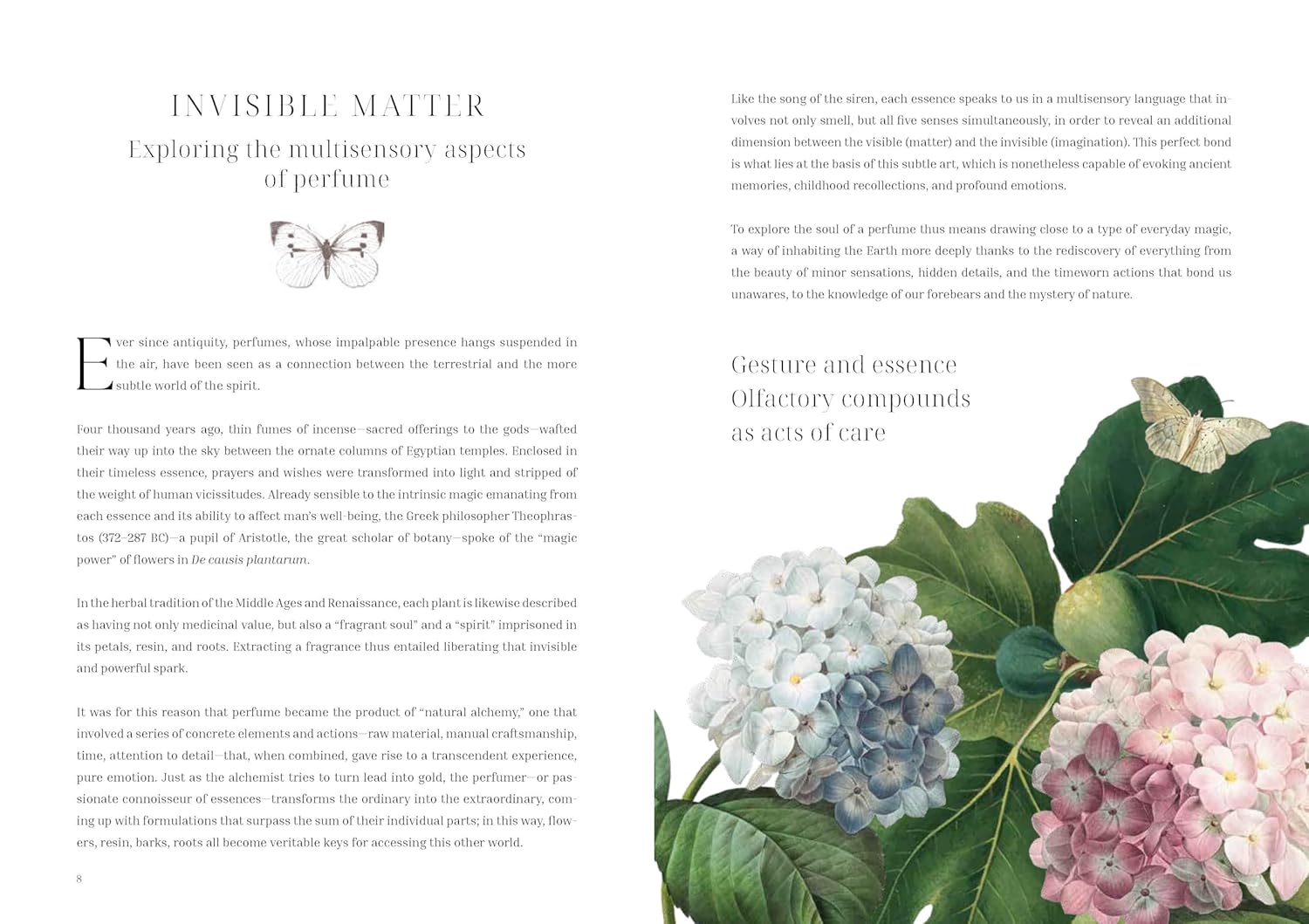 Olfactory Code: Unveiling the Alchemy of Botanical Perfumery