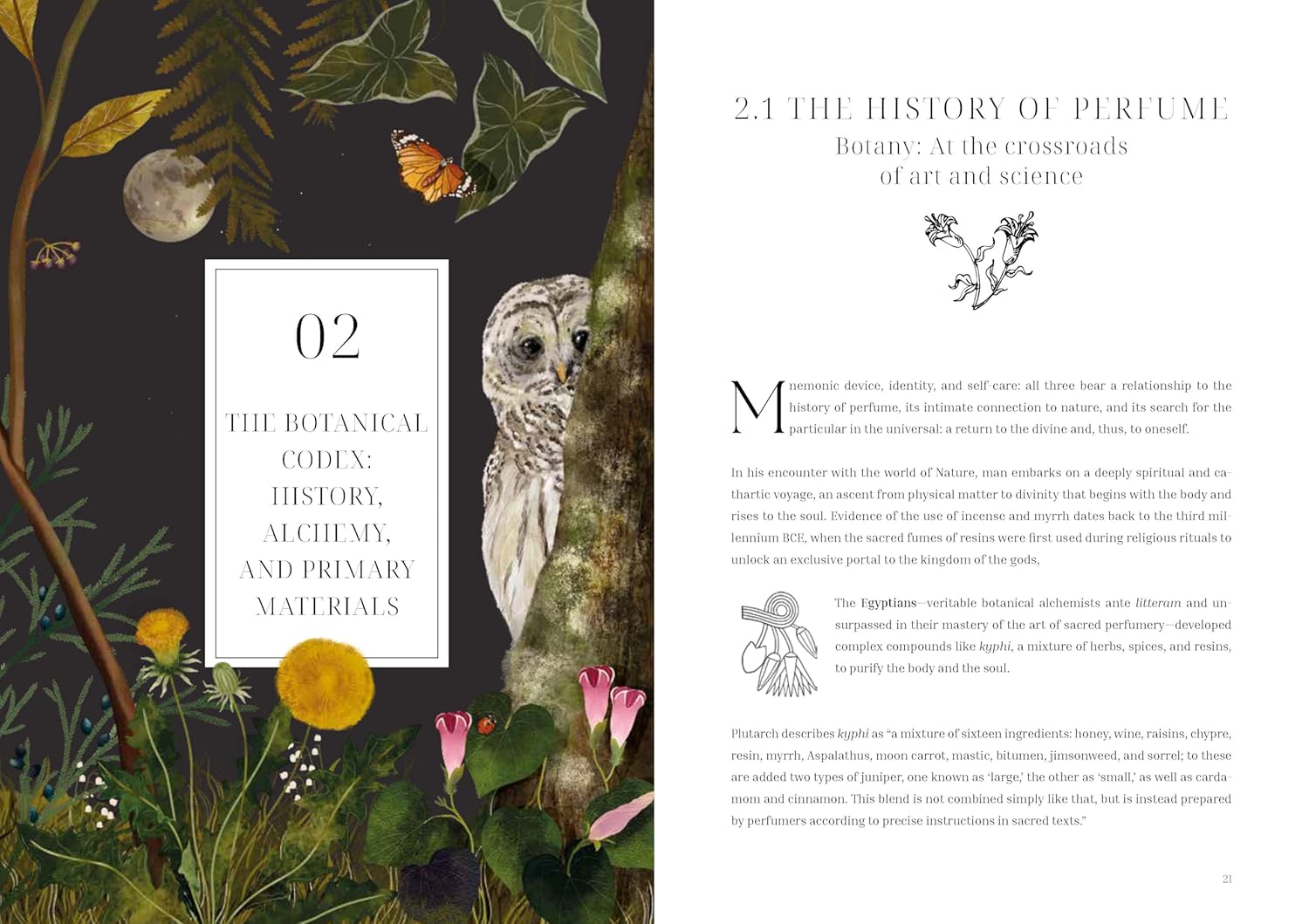 Olfactory Code: Unveiling the Alchemy of Botanical Perfumery