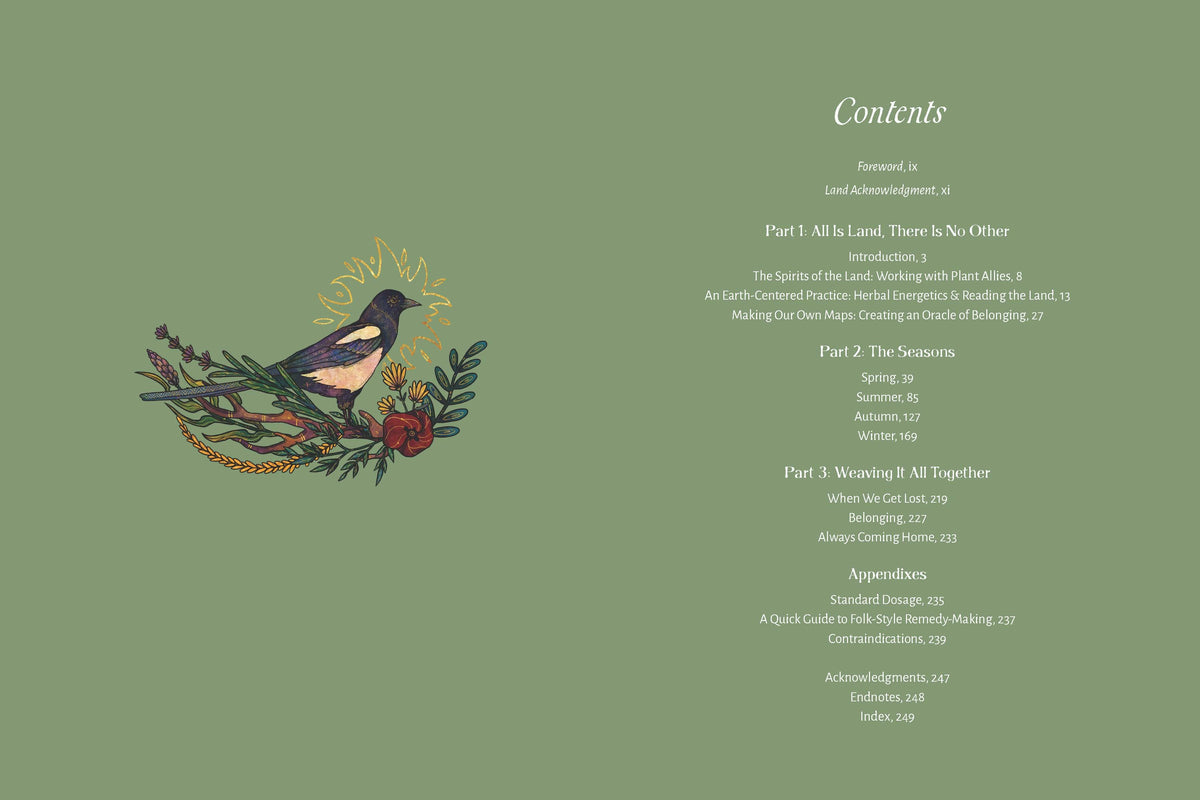 The Apothecary of Belonging: Seasonal Rituals & Herbalism