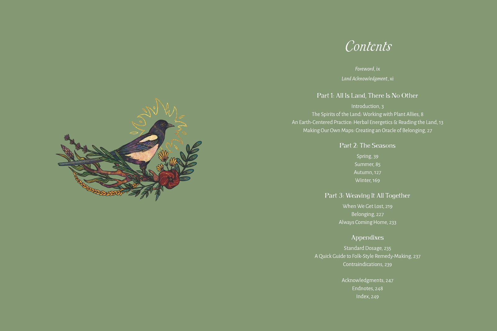 The Apothecary of Belonging: Seasonal Rituals & Herbalism