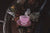 Nevermore Pin: Rose Tea (Blush Pink)