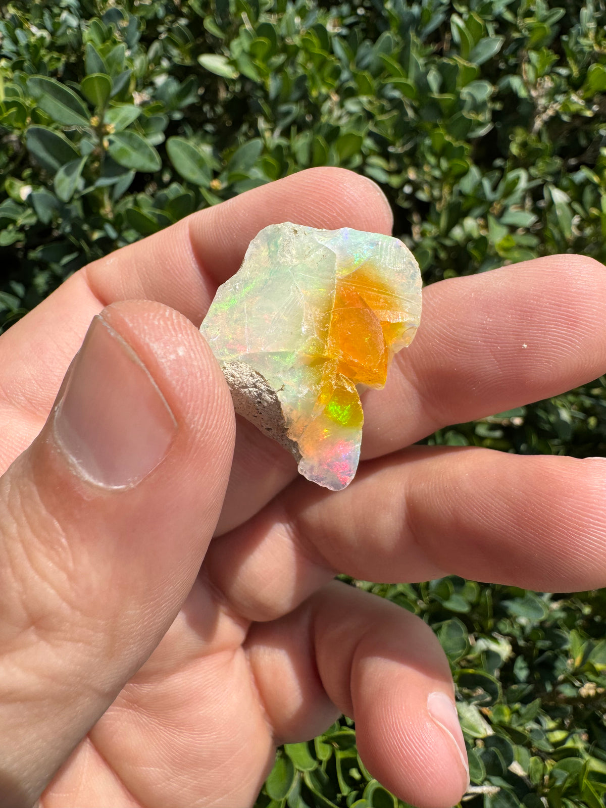 Ethiopian Welo Opal Specimen – Natural Rainbow Play-of-Color | 52.53 ct Genuine Welo Opal from Ethiopia
