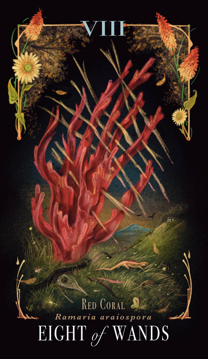 Midnight Magic Tarot by Sara Richard