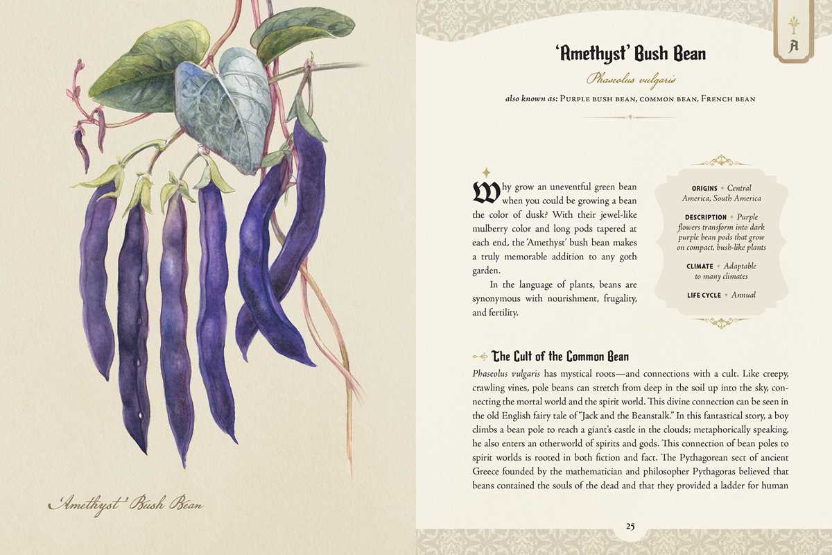 The Goth Garden – Dark Botanical Lore, Gothic Plants & Enchanting Garden Inspiration