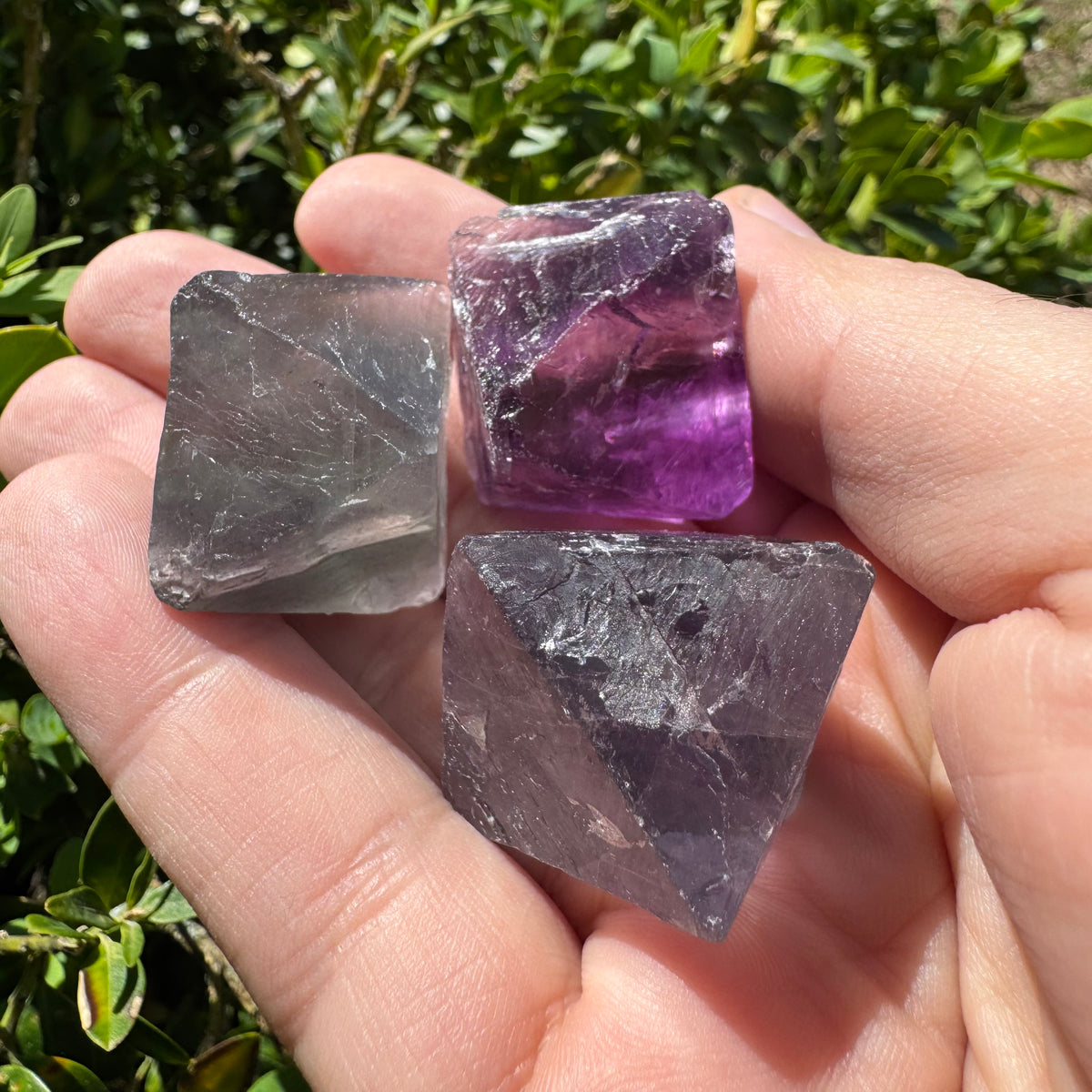 Fluorite Octahedron Natural Gemstone