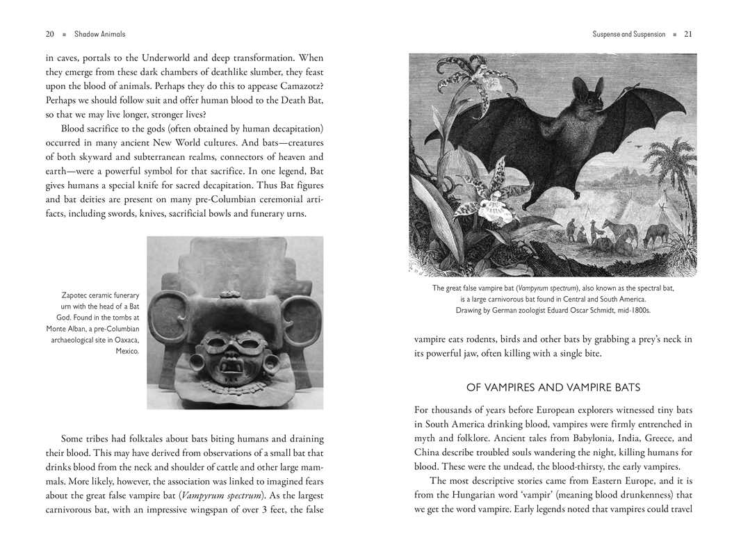 Shadow Animals – Animal Spirit Guides, Shadow Work & Transformative Healing