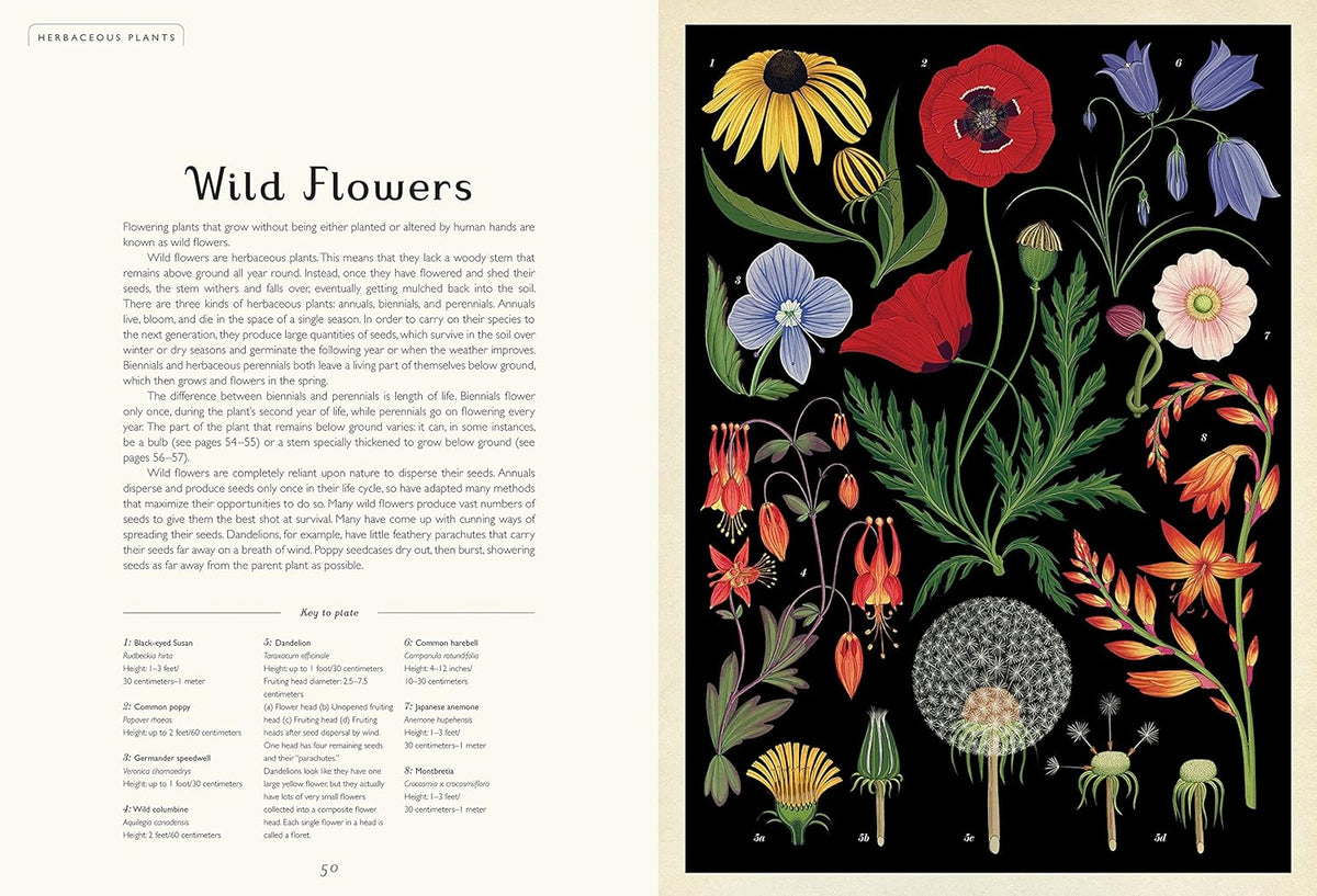 Botanicum: A Stunning Botanical Field Guide for Curious Readers