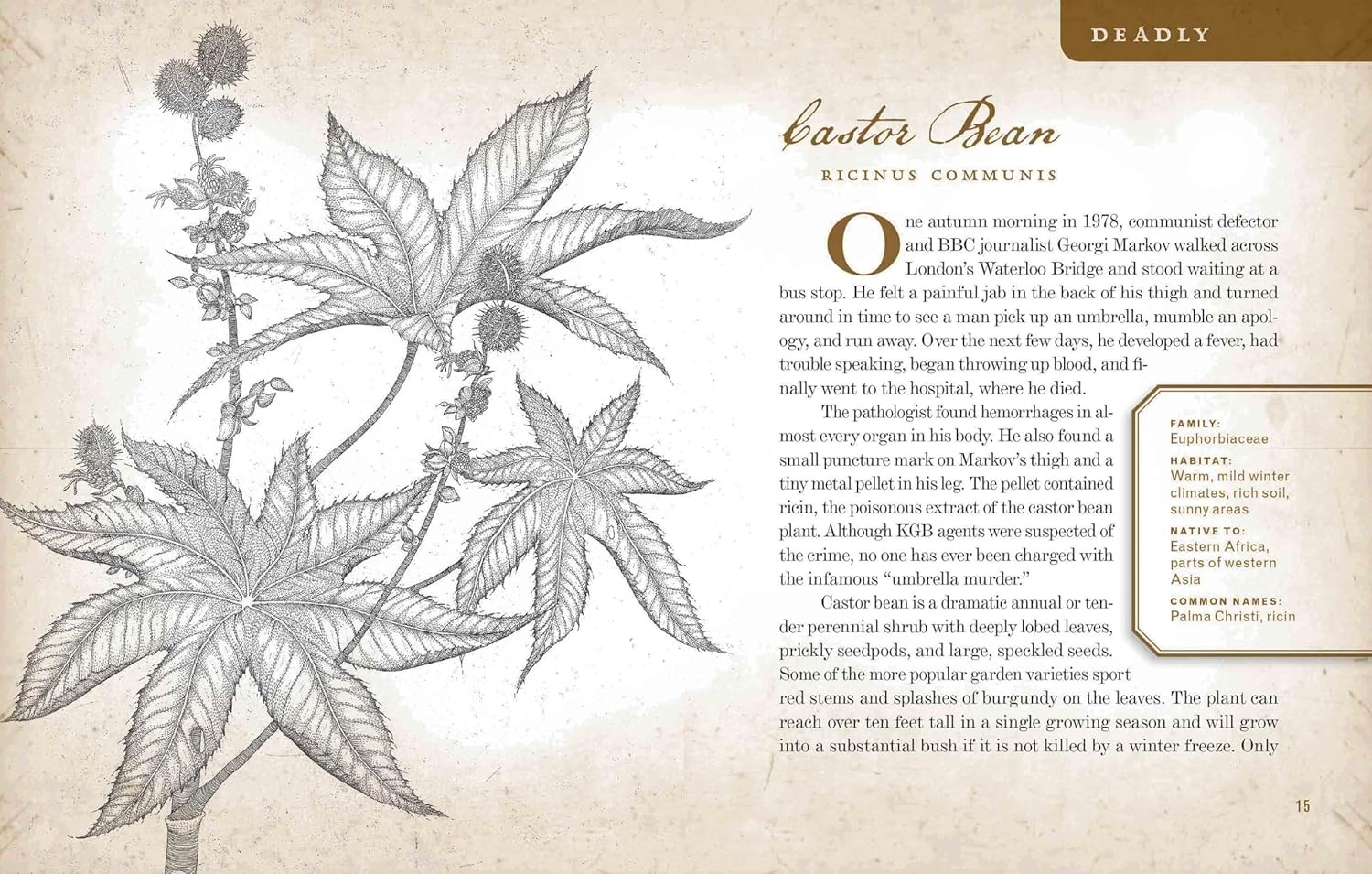 Wicked Plants: The Weed That Killed Lincoln's Mother and Other Botanical Atrocities