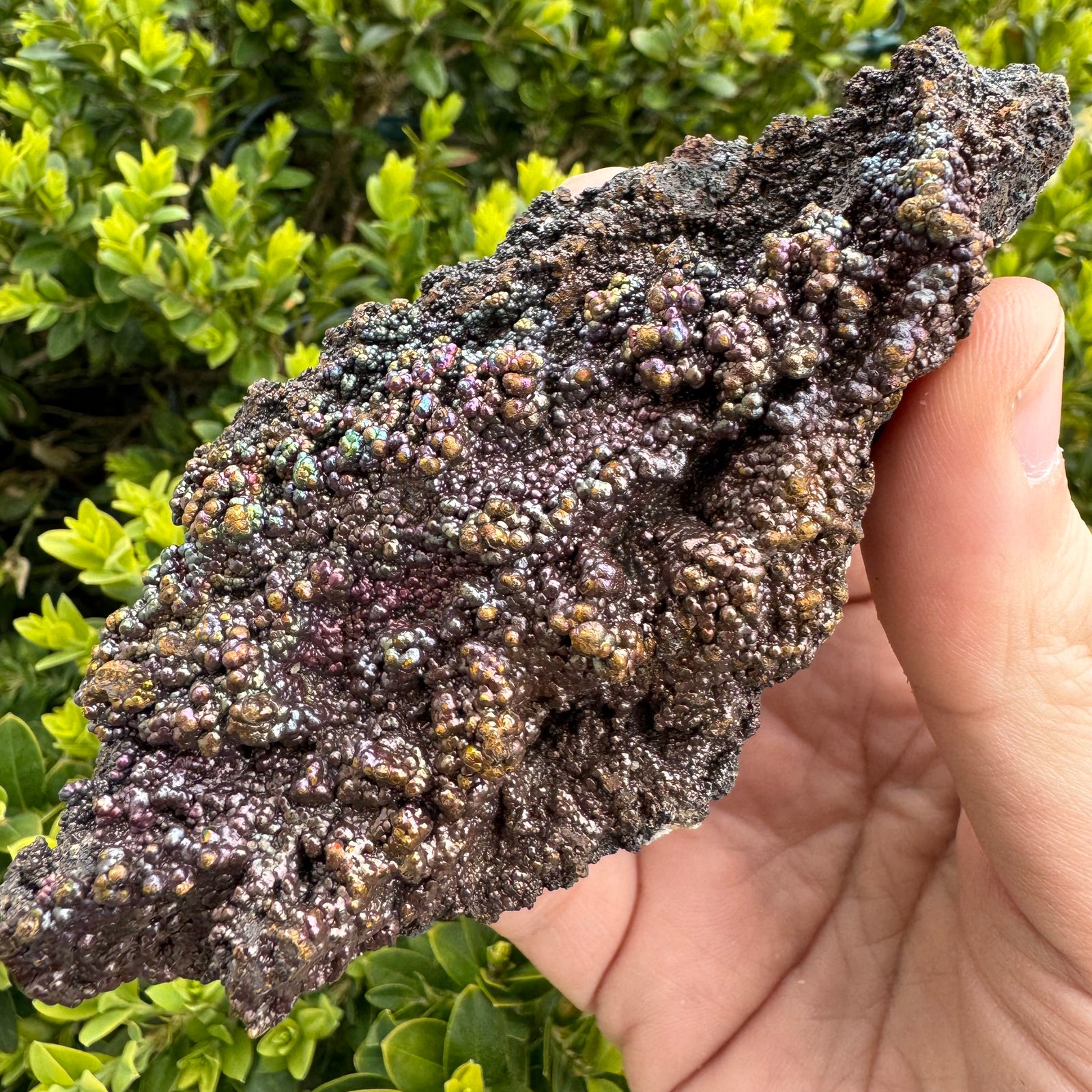 Natural Goethite Rough Crystals | Iridescent Metallic Rainbow Mineral Specimens for Grounding & Protection