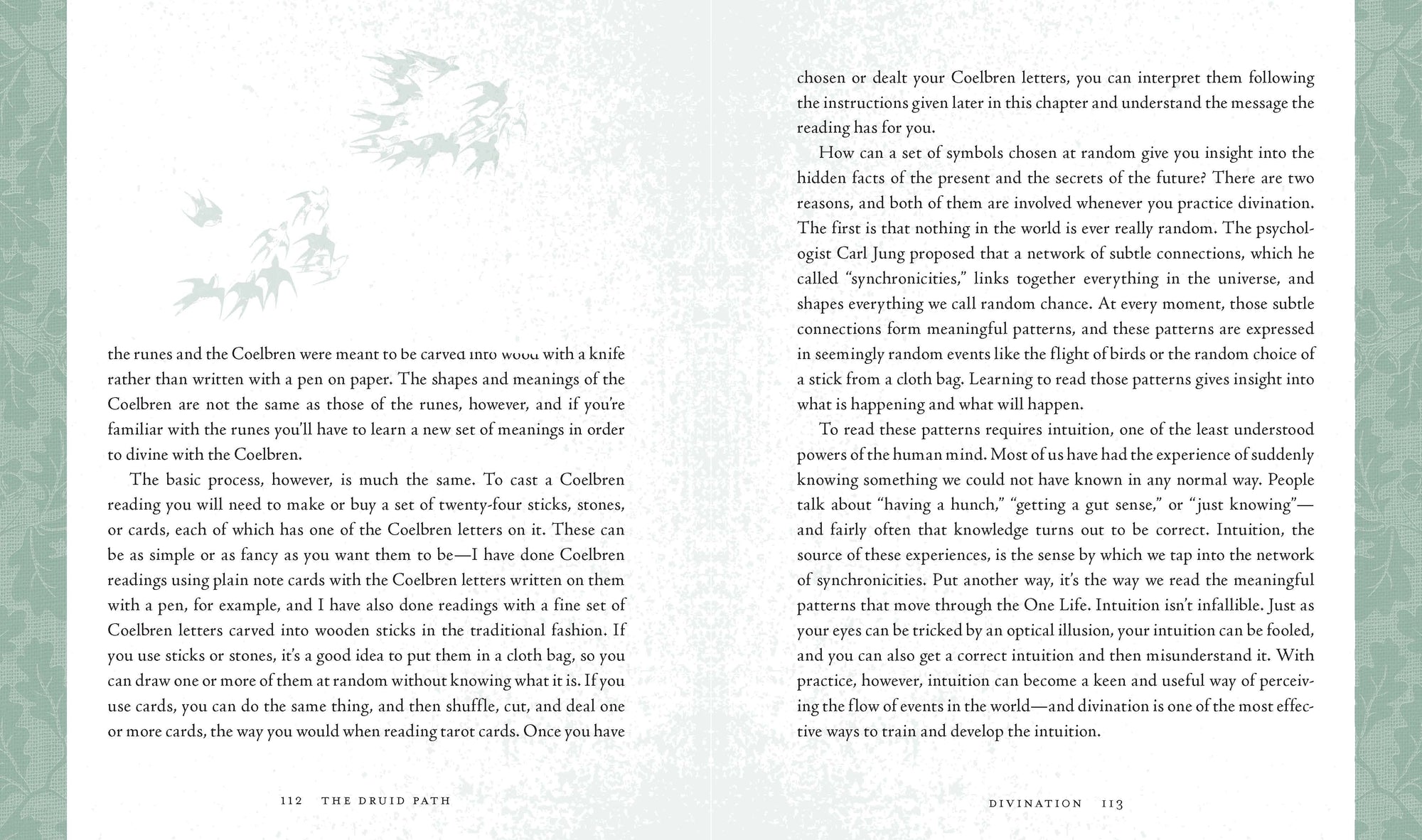 Druid Path by John Michael Greer