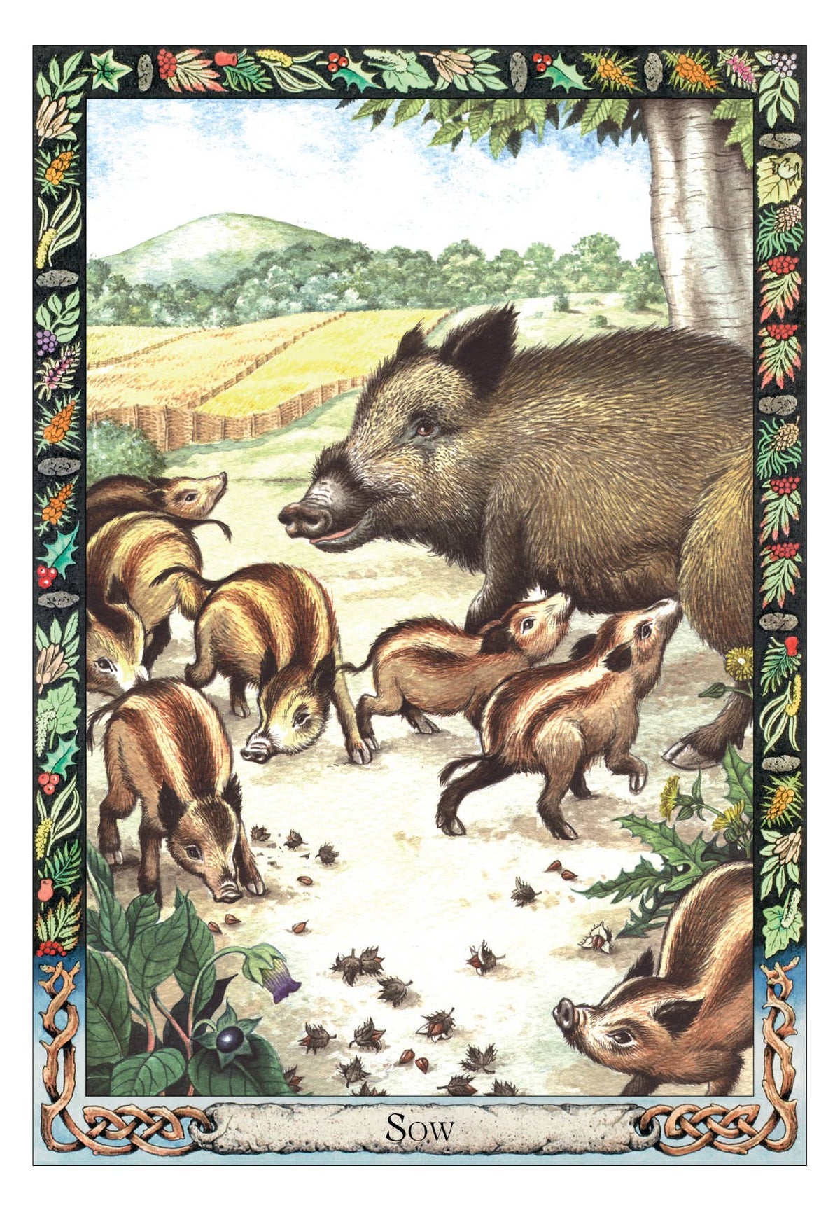The Druid Animal Oracle Deck