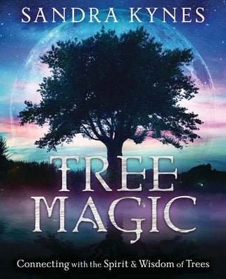Cover of Tree Magic by Sandra Kynes, Llewellyn
