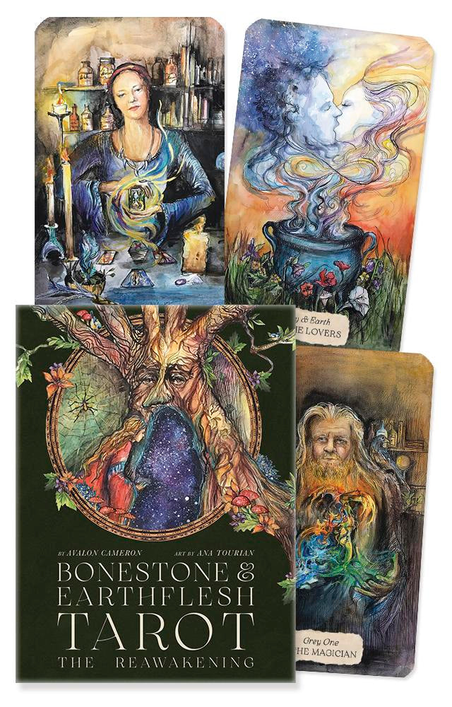 Bonestone and Earthflesh Tarot box by Avalon Cameron with art by Ana Tourian, Llewellyn