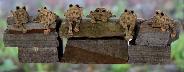 Toad Hollow Shelf Sitter Toad Figurine | Mini Garden Toad Decor