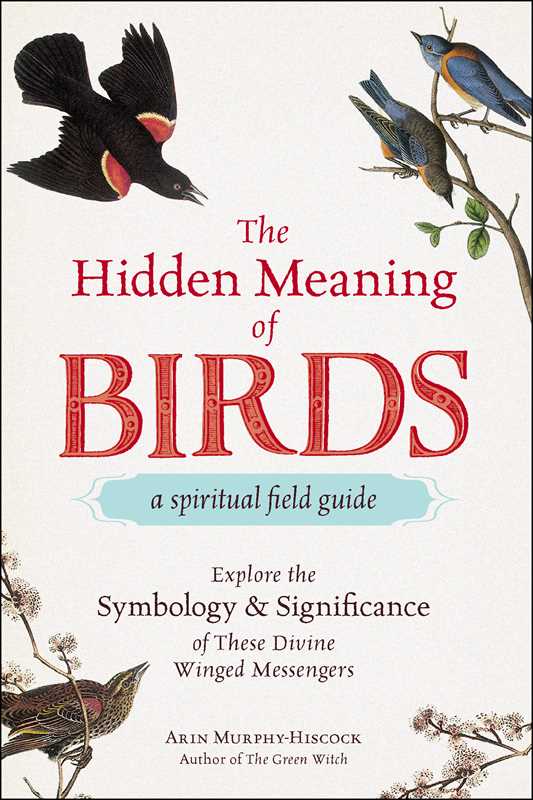 The Hidden Meaning of Birds – Discover Spiritual Signs, Bird Symbolism &amp; Divine Messages