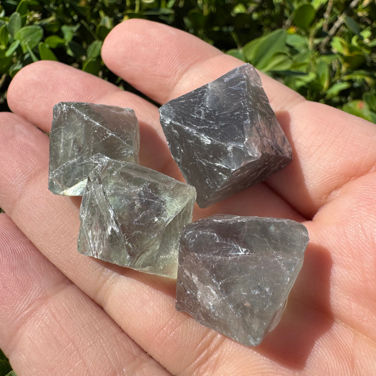 Fluorite Octahedron Natural Gemstone