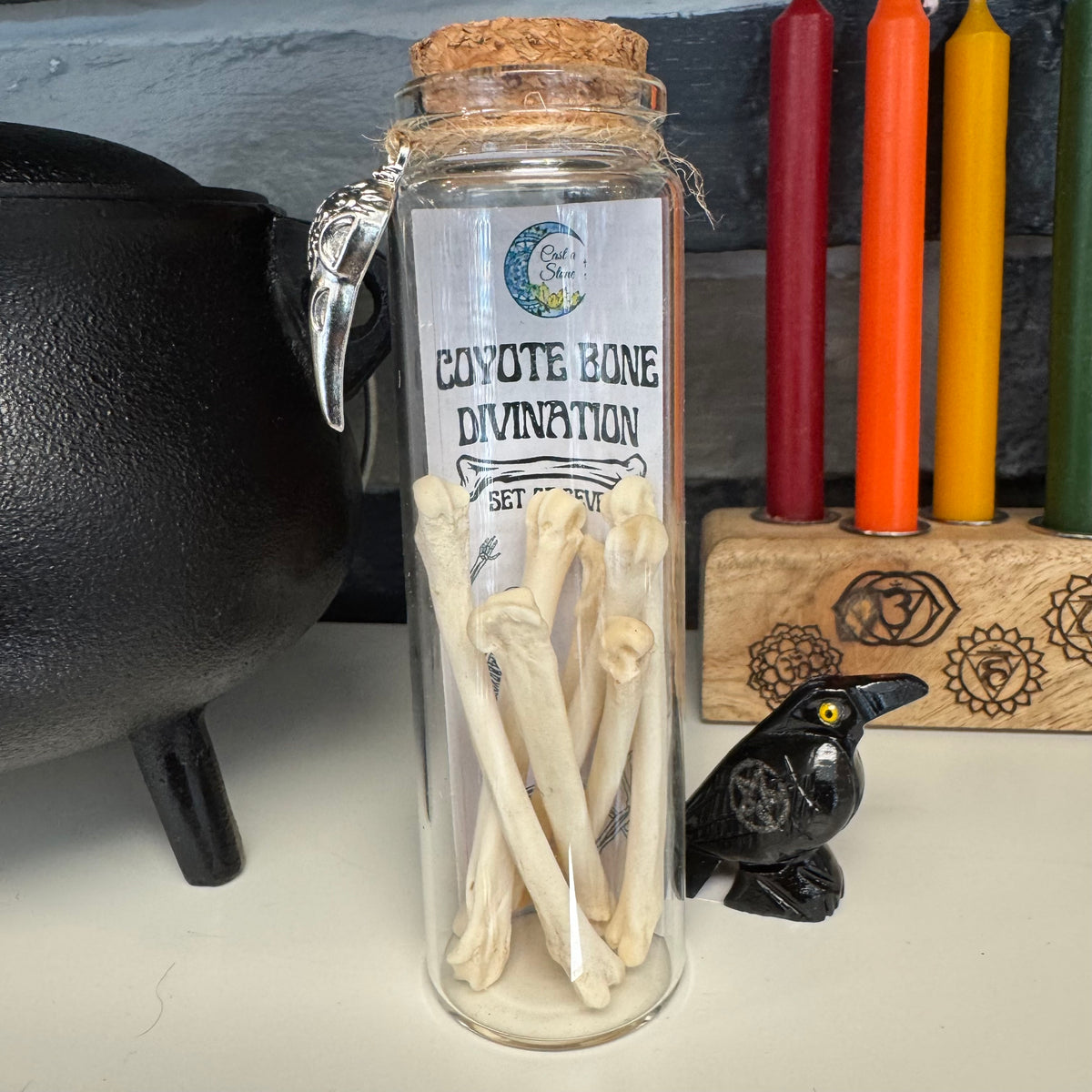 Coyote Bone Divination Set of 7 for Spirit Work &amp; Intuitive Readings
