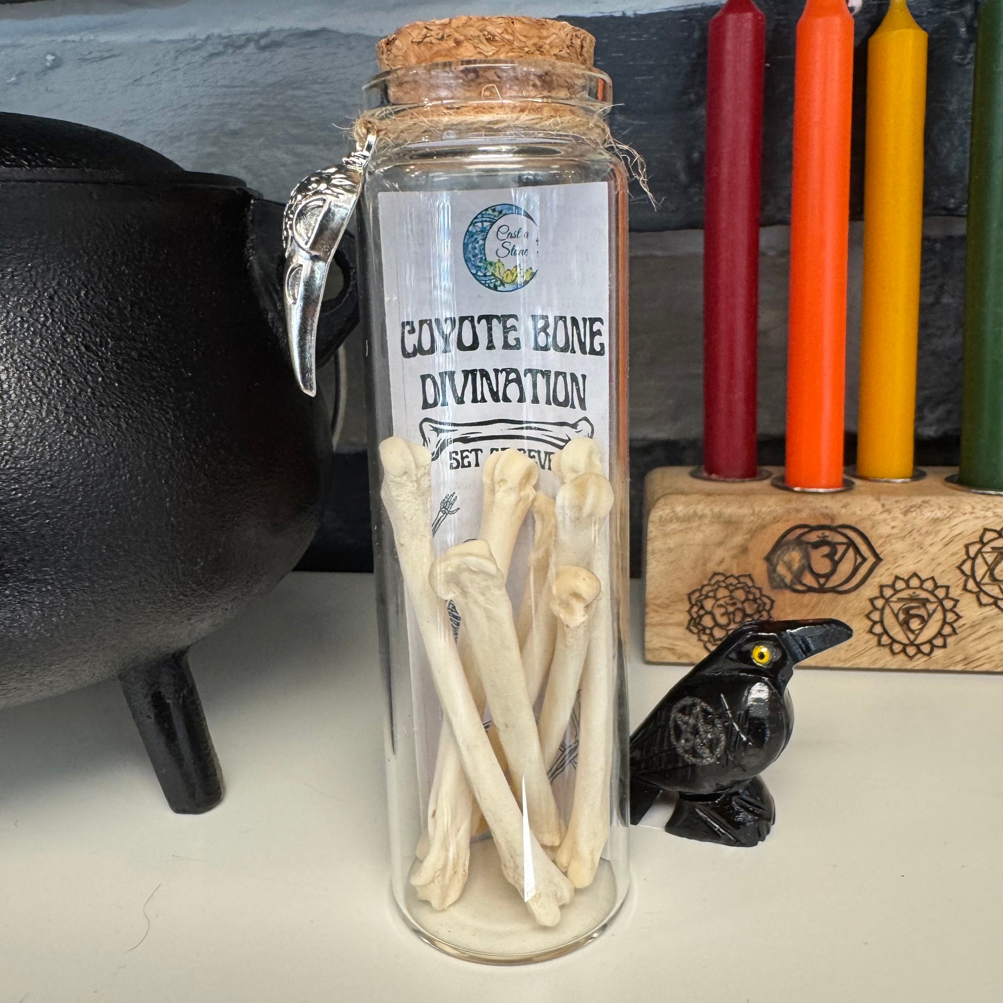 Coyote Bone Divination Set of 7 for Spirit Work & Intuitive Readings