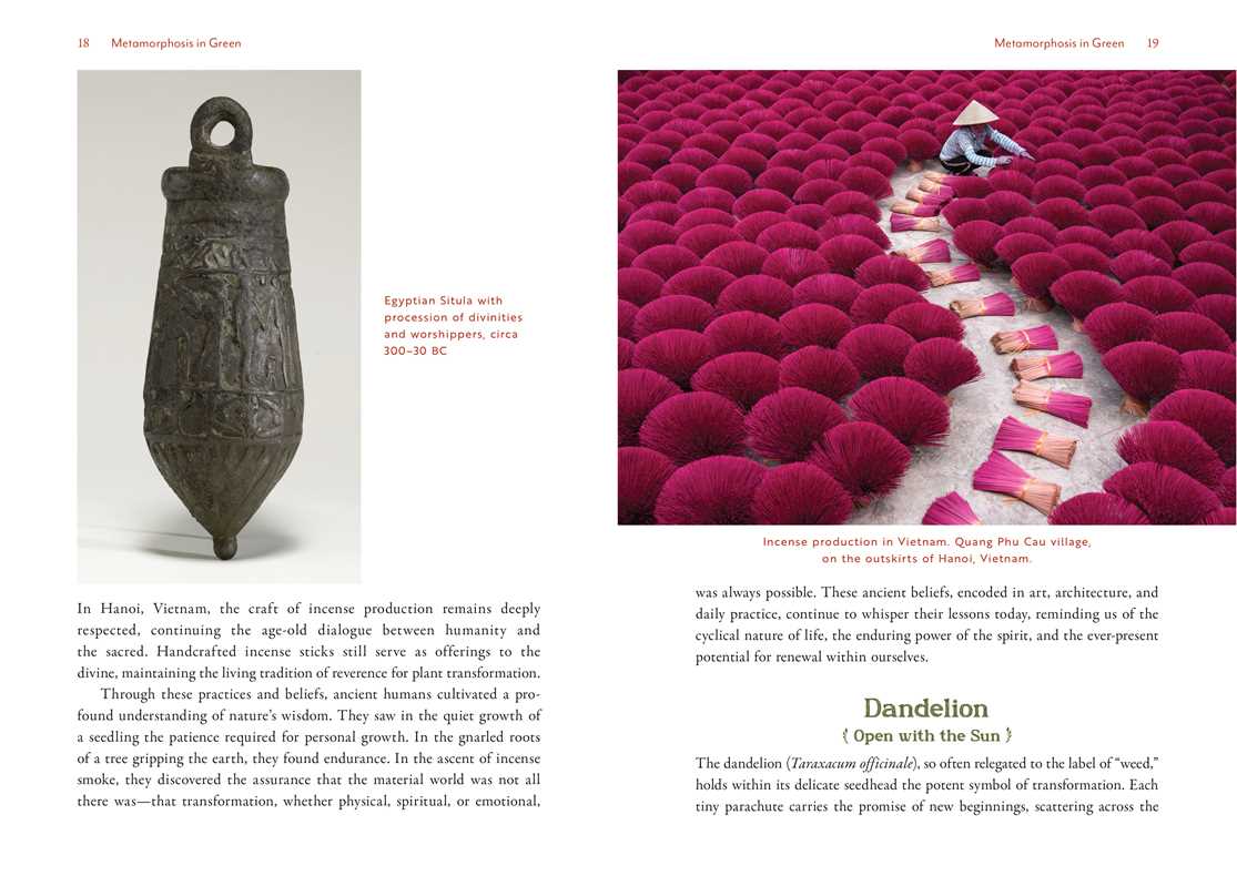 Root in Every Ritual by Jacqueline N. Norton