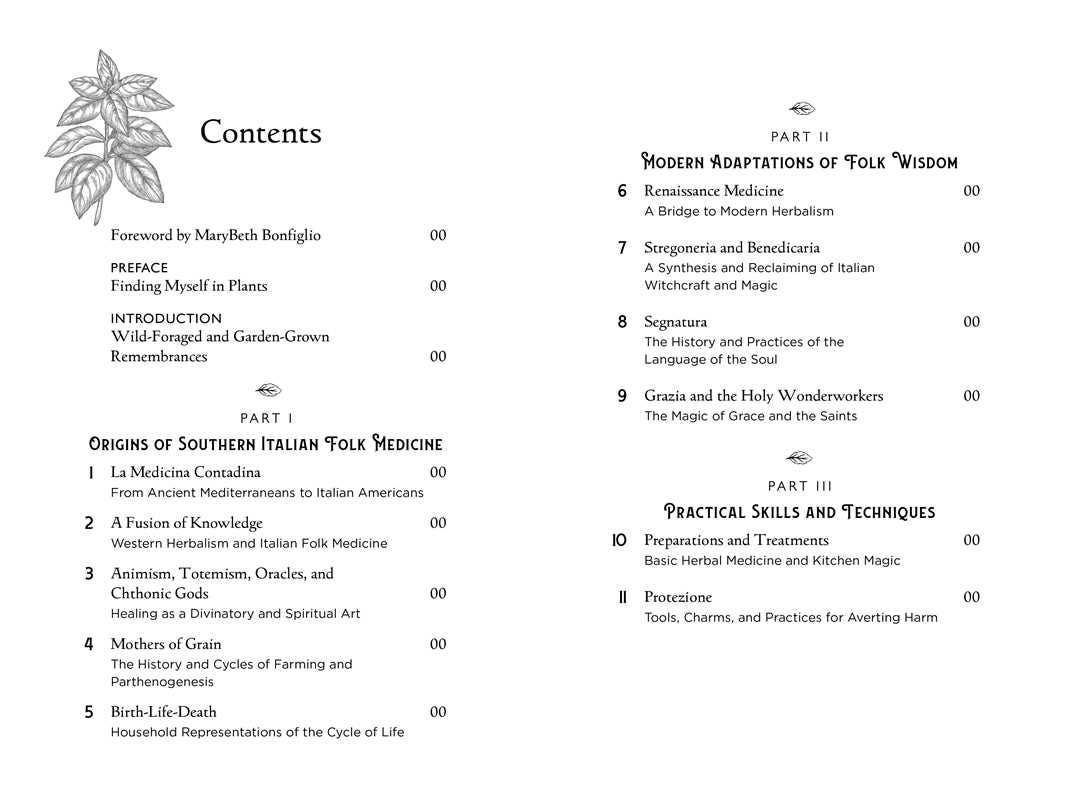 Della Medicina by Lisa Fazio