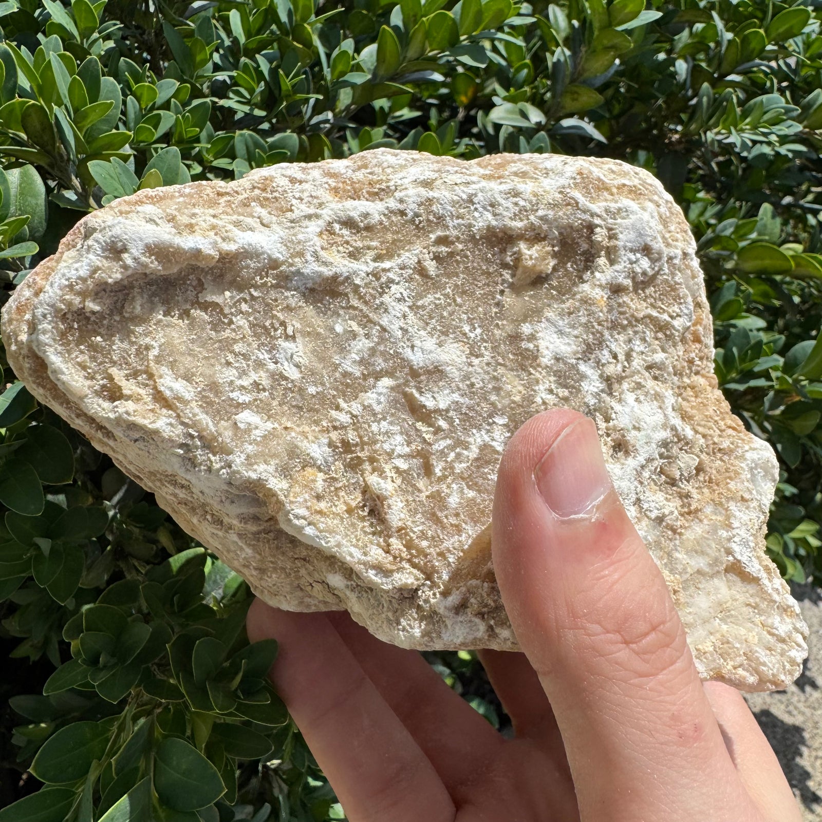 Crack Open Geode | Break into Real Surprise Crystals