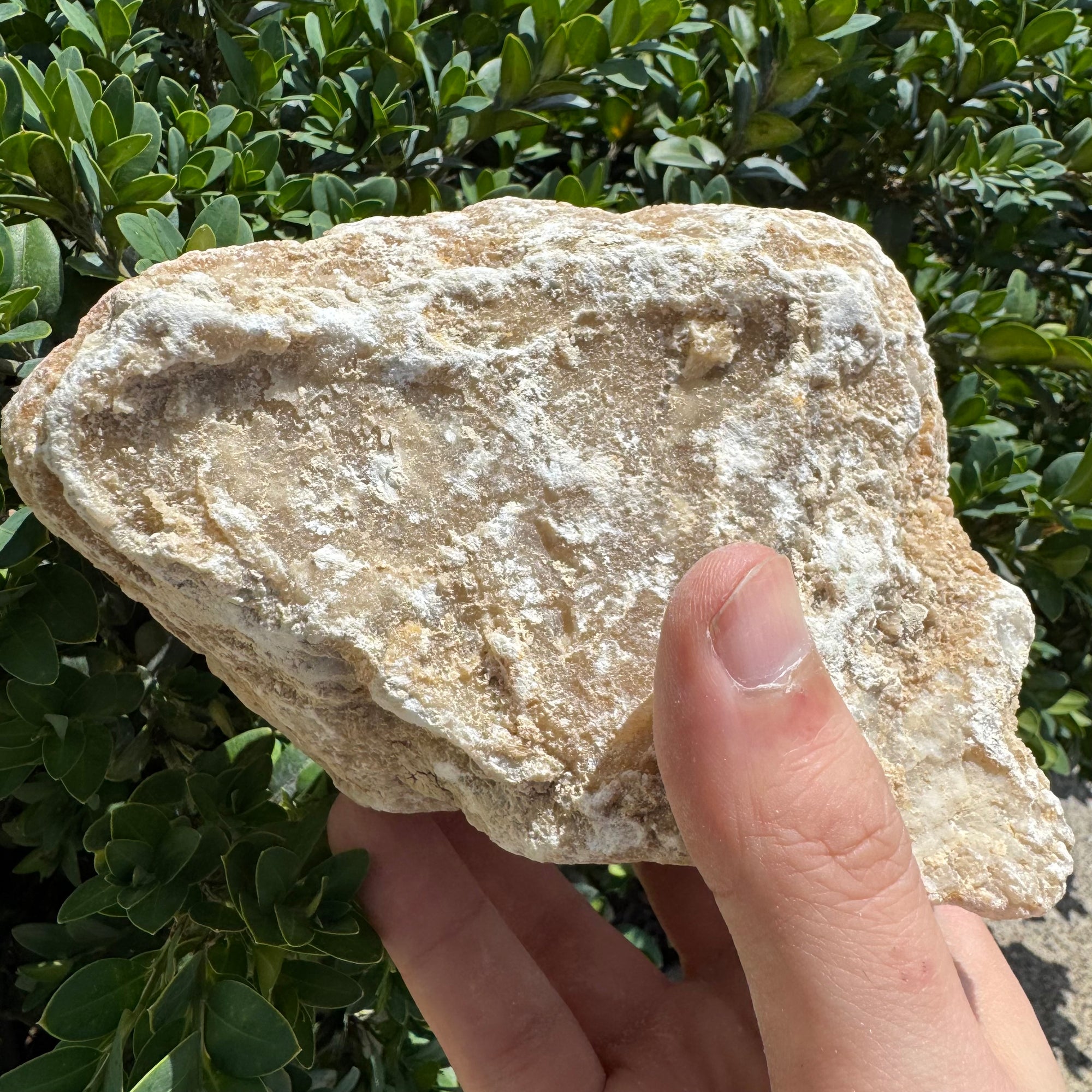 Crack Open Geode | Break into Real Surprise Crystals