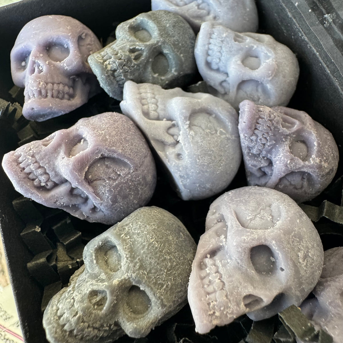 RAVEN Skull Wax Melts – Box of 10 | Para-Soy Wax Melts for Warmers