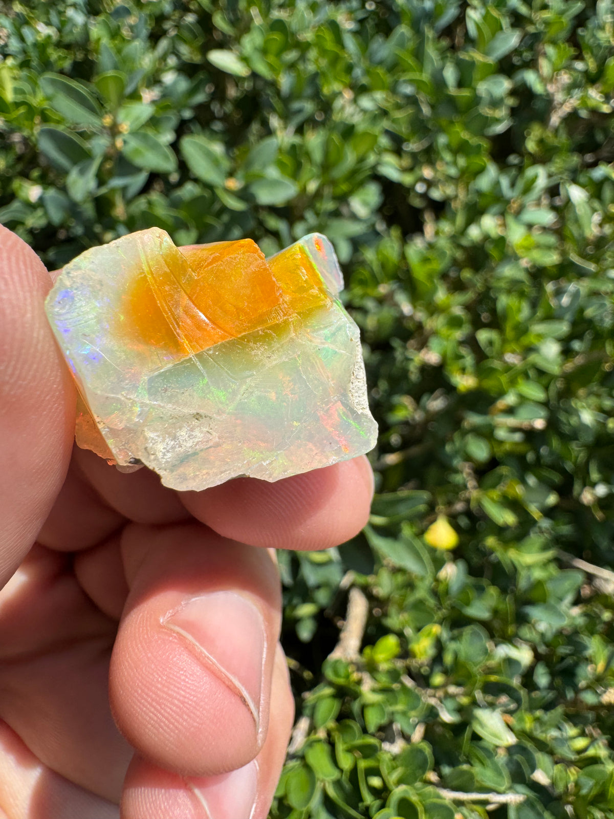 Ethiopian Welo Opal Specimen – Natural Rainbow Play-of-Color | 52.53 ct Genuine Welo Opal from Ethiopia