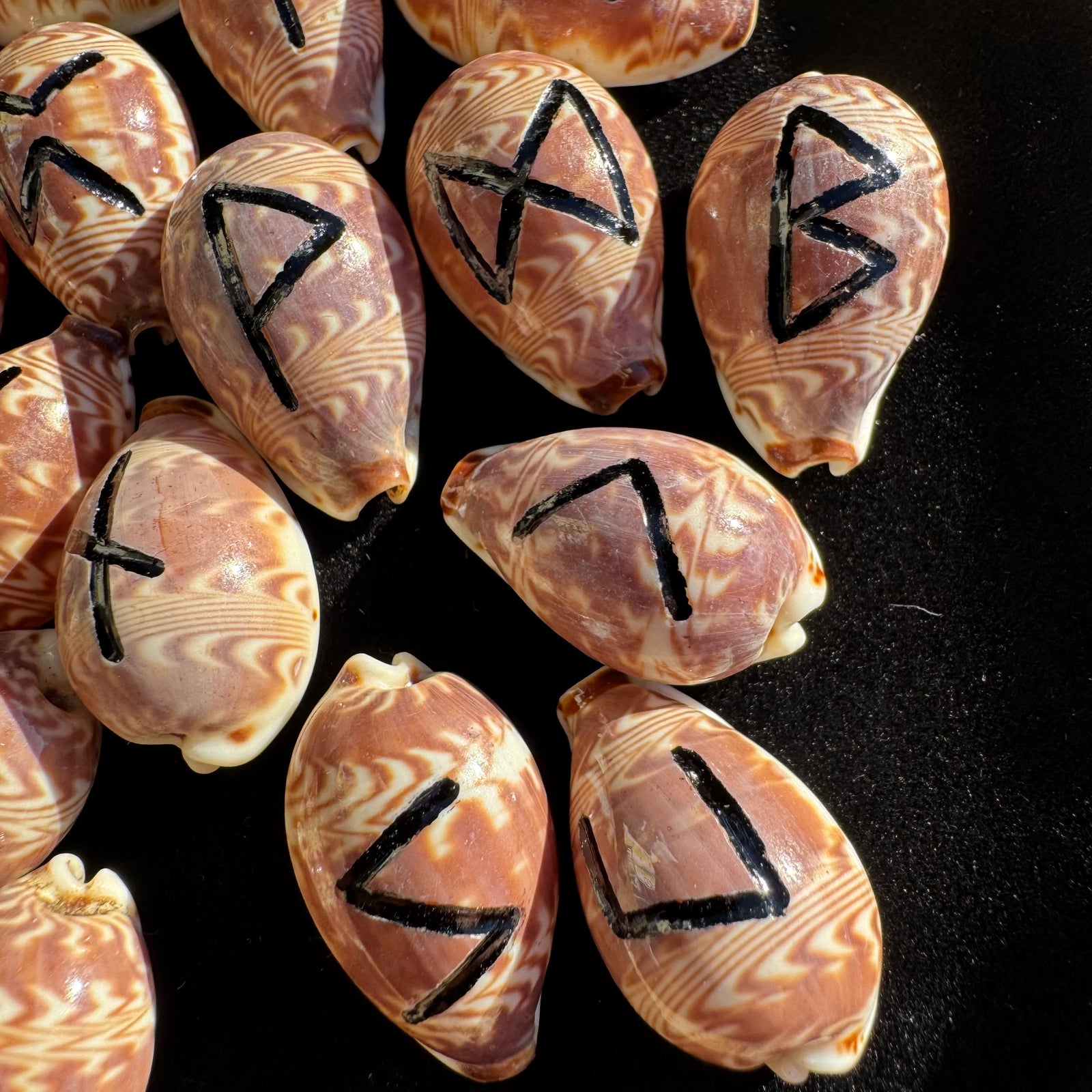 Cowrie Shell Rune Set of 25 – Hand-Engraved Natural Shell Runes