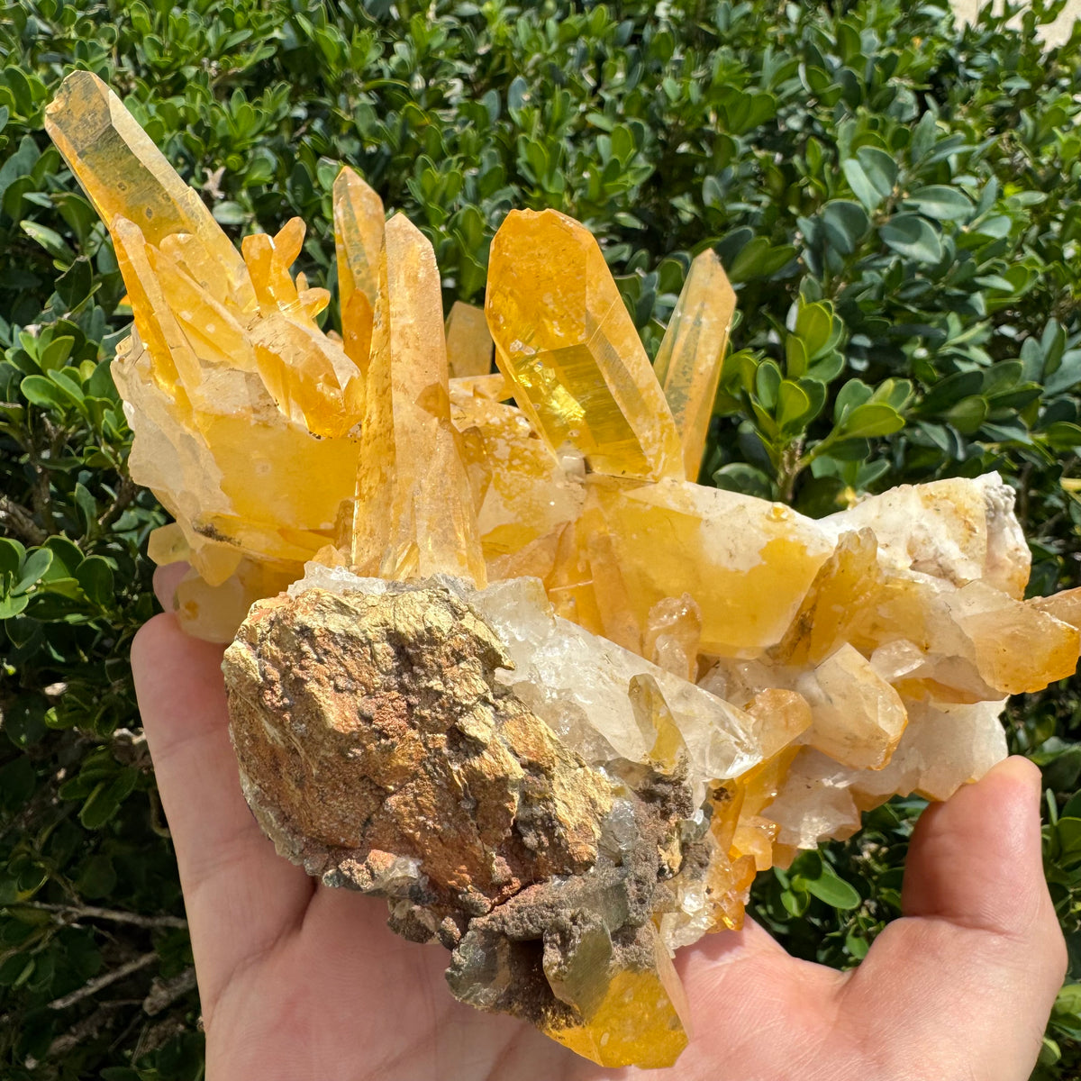 Iron Oxide Colombian Quartz Point Cluster | 1390g