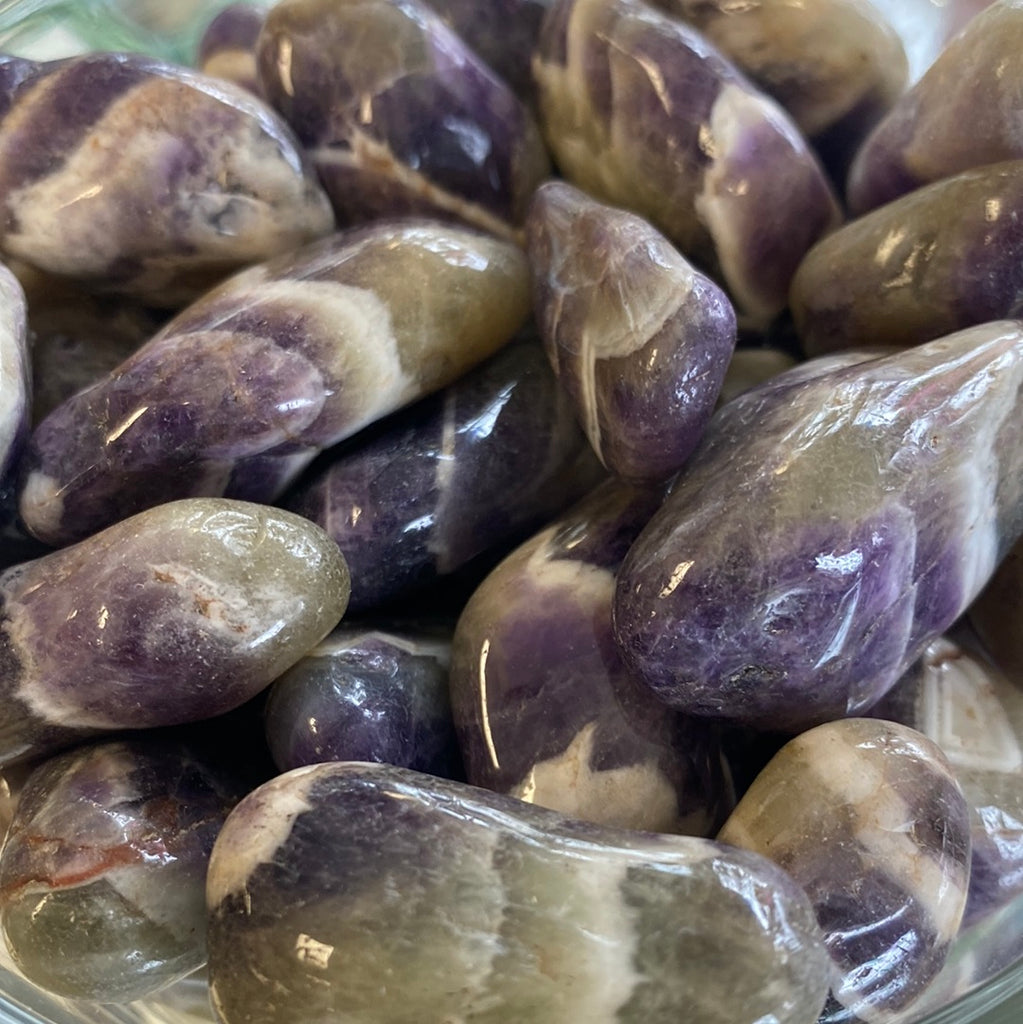 Amegreen Tumbled Gemstone (Amethyst & Prasiolite) - Cast a Stone