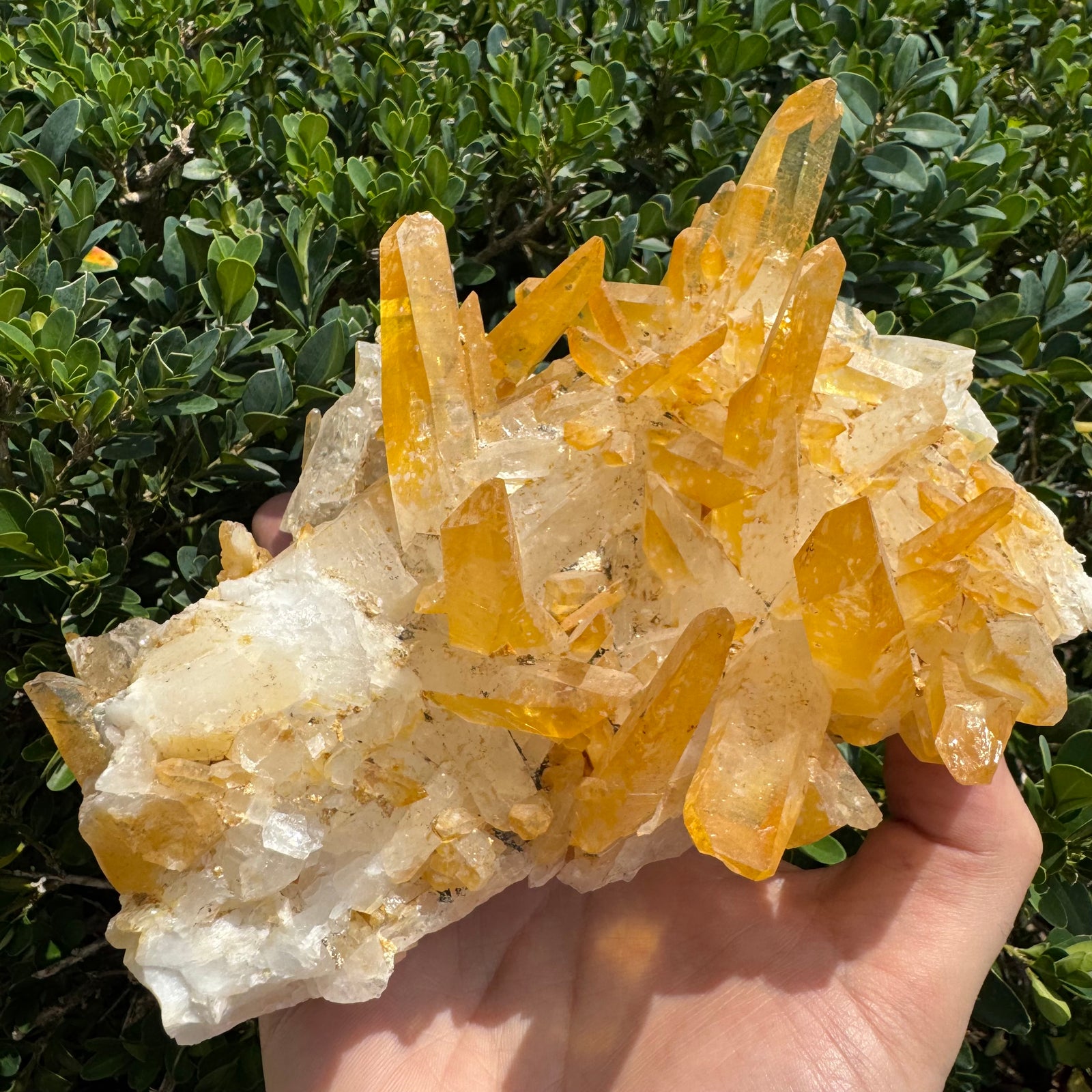 Iron Oxide Colombian Quartz Point Cluster | 1390g
