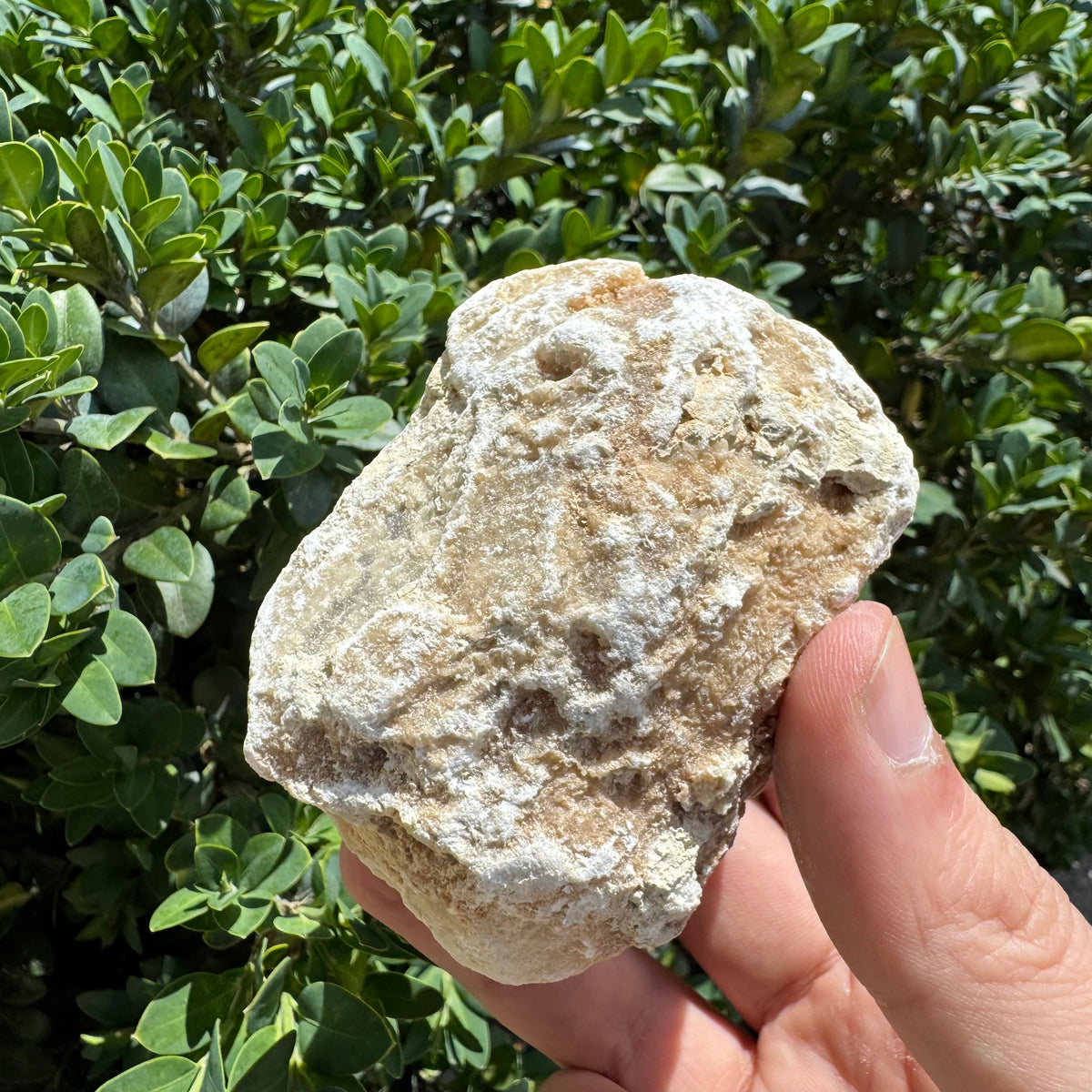 Crack Open Geode | Break into Real Surprise Crystals