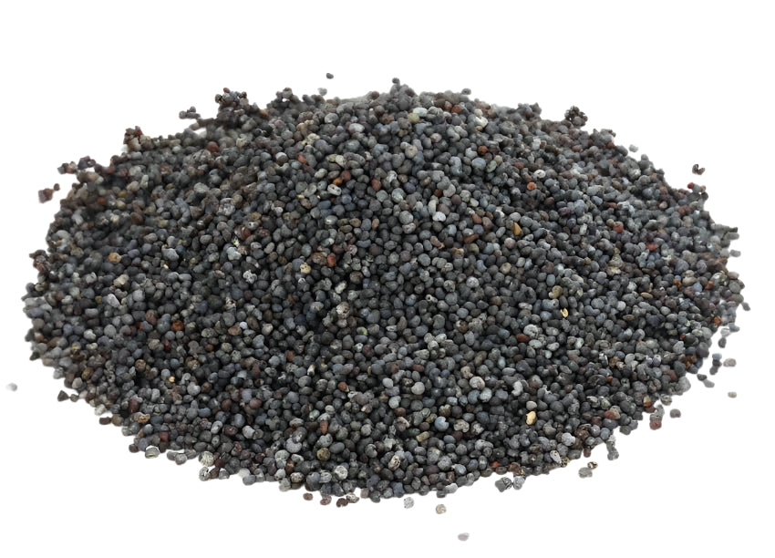 Poppy Seeds (Papaver somniferum) 1oz - Dreams and Prosperity
