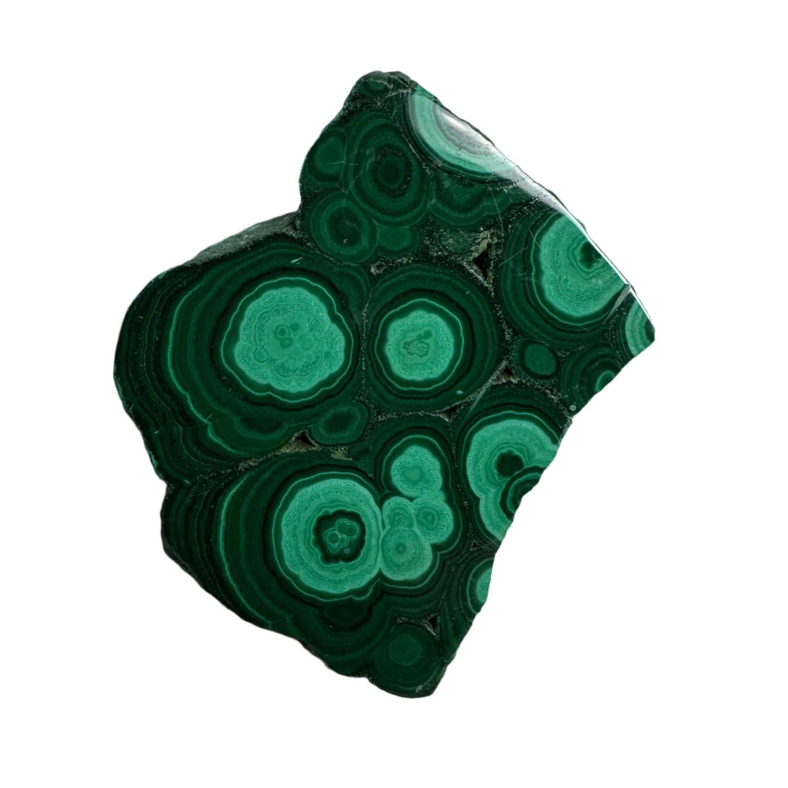 Polished Malachite Slice Specimen | Protection & Confidence