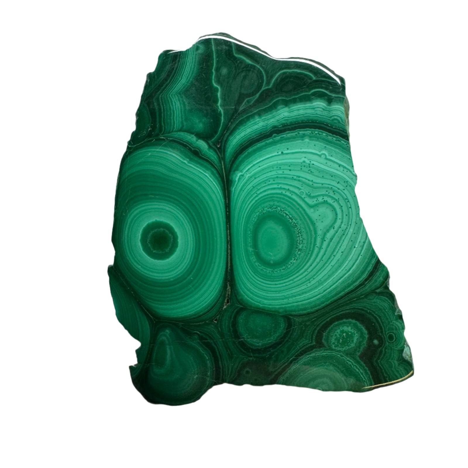 Polished Malachite Slice Specimen | Protection & Confidence