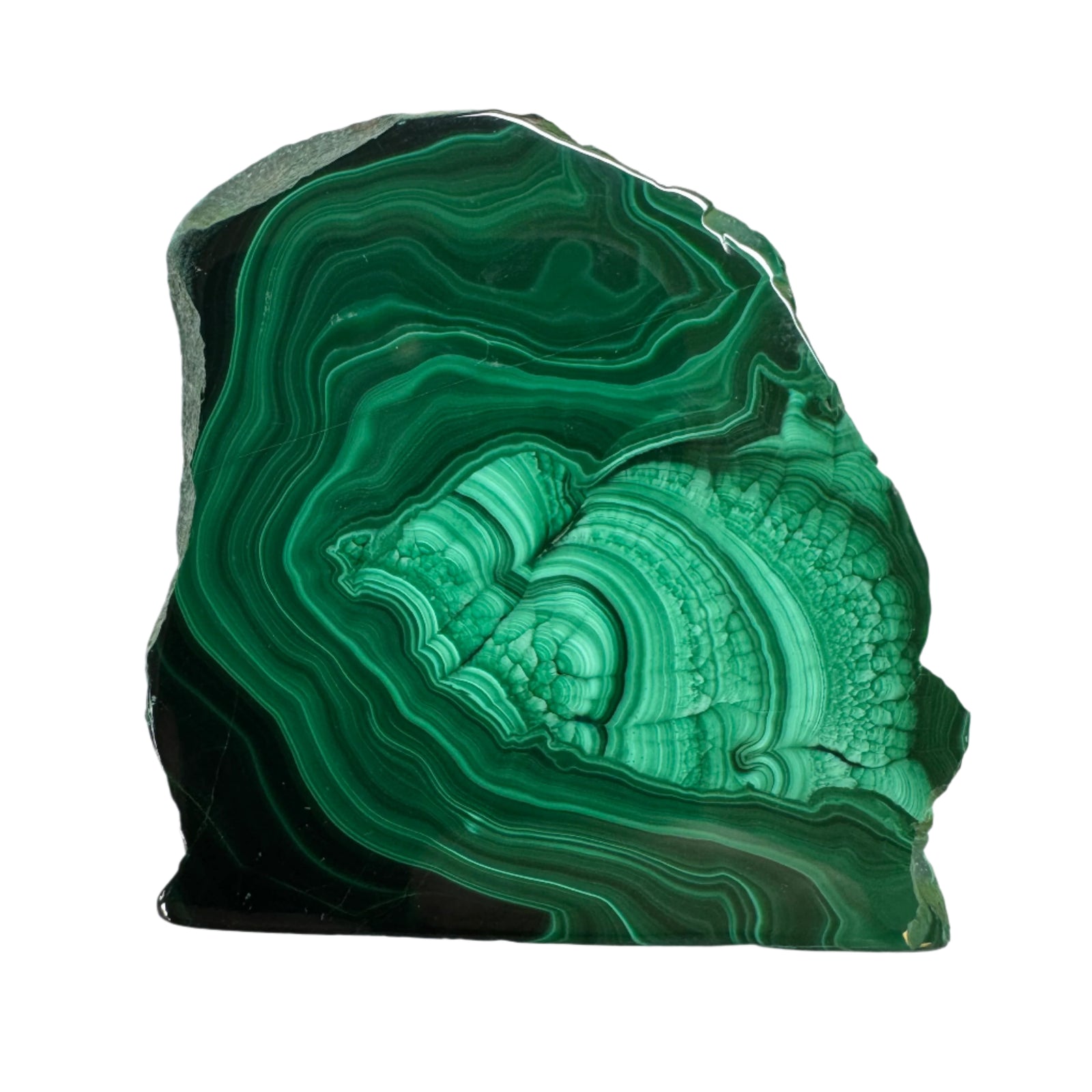 Polished Malachite Slice Specimen | Protection & Confidence